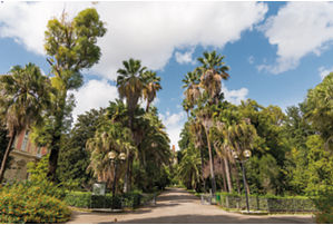 Orto Botanico di Pisa