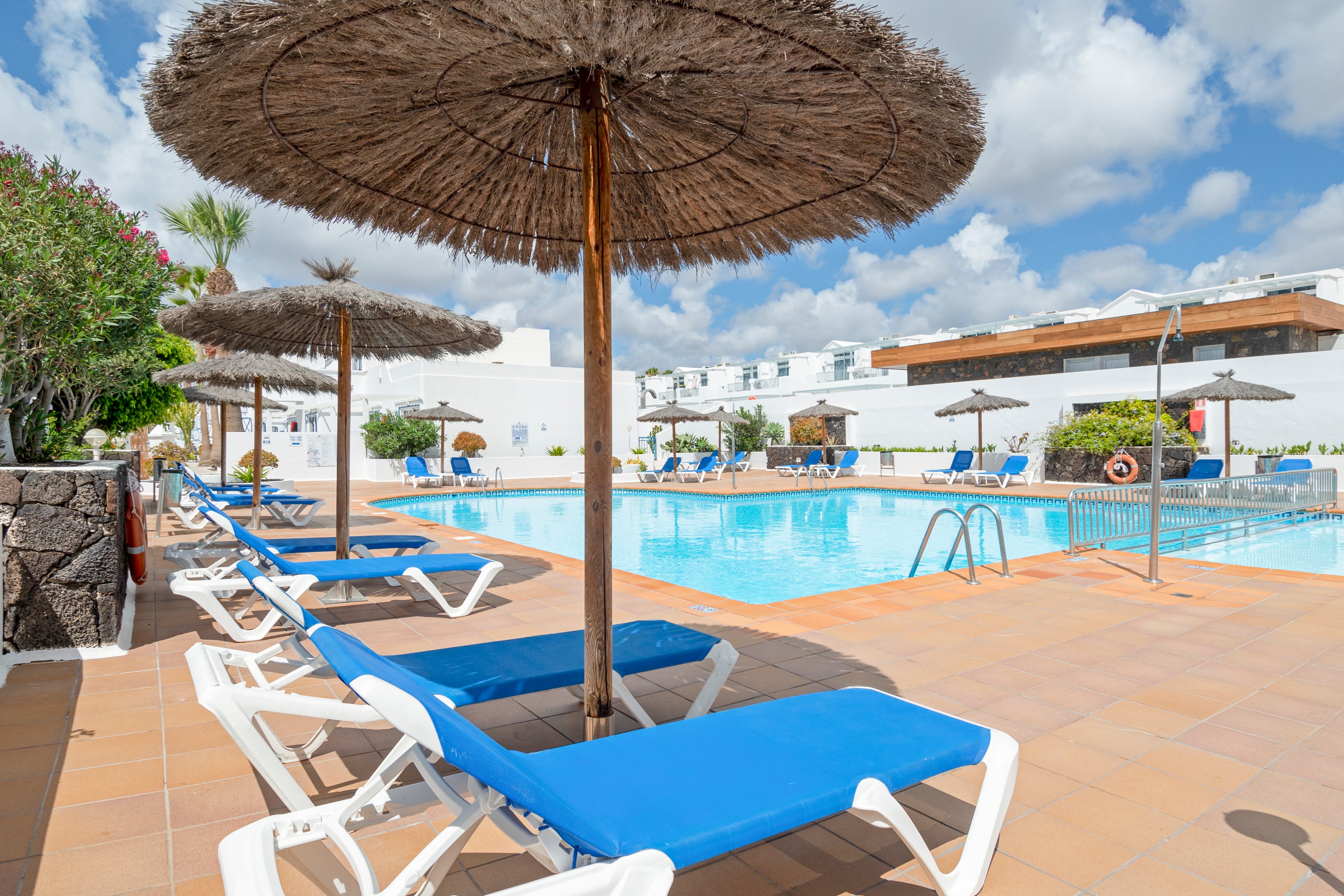 LIVVO Apartments Oasis