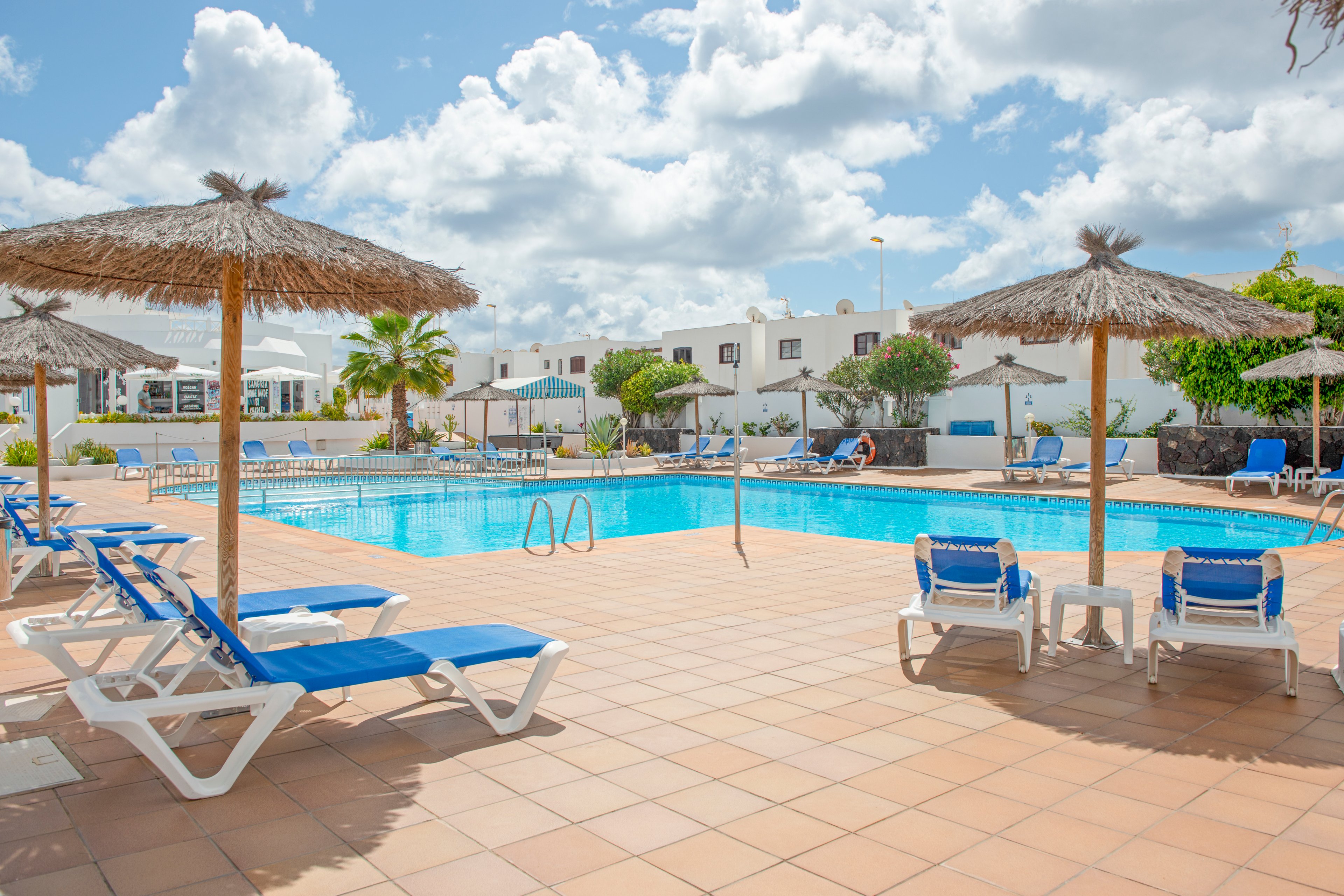 LIVVO Apartments Oasis