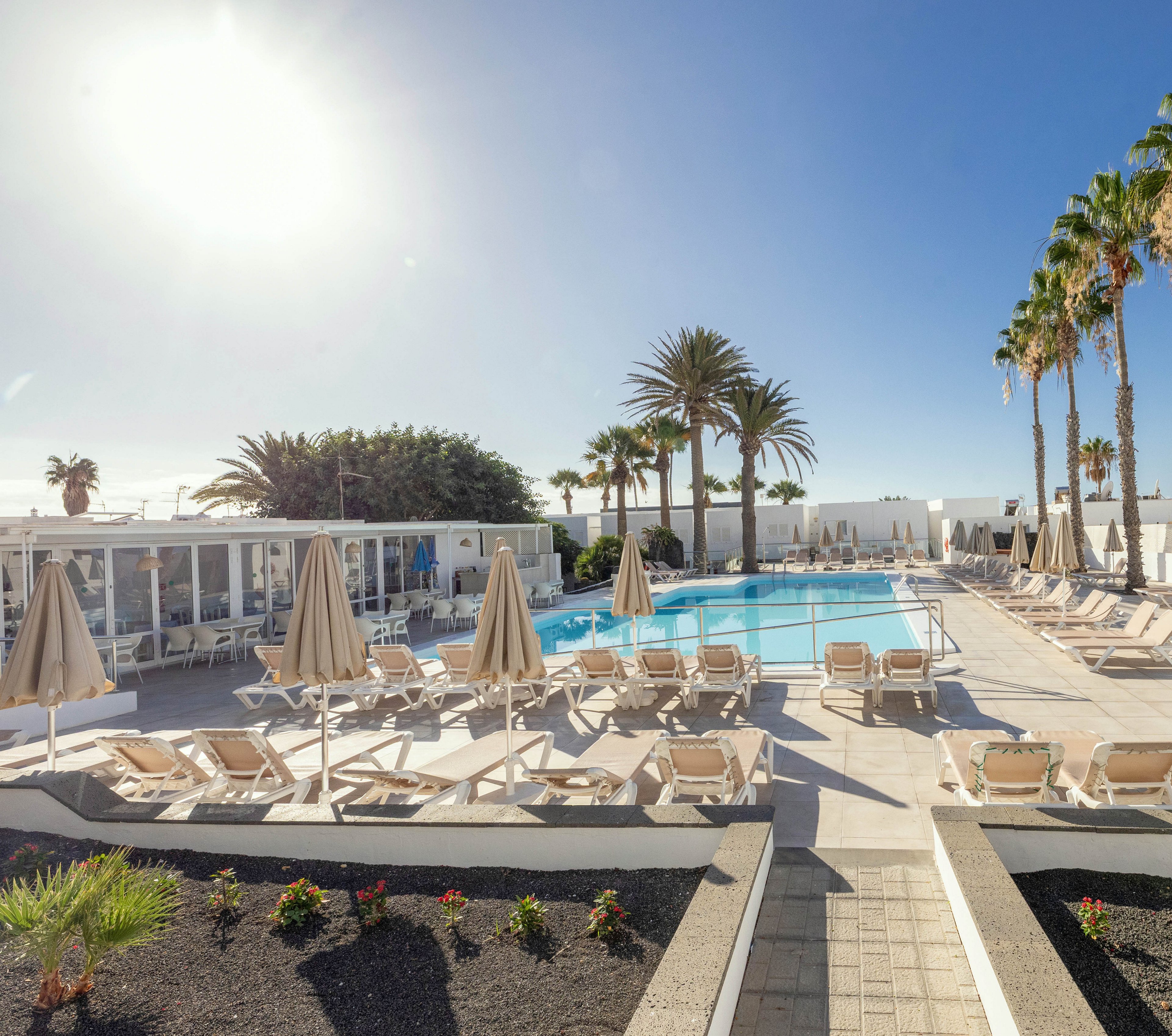 Arena Dorada Apartments