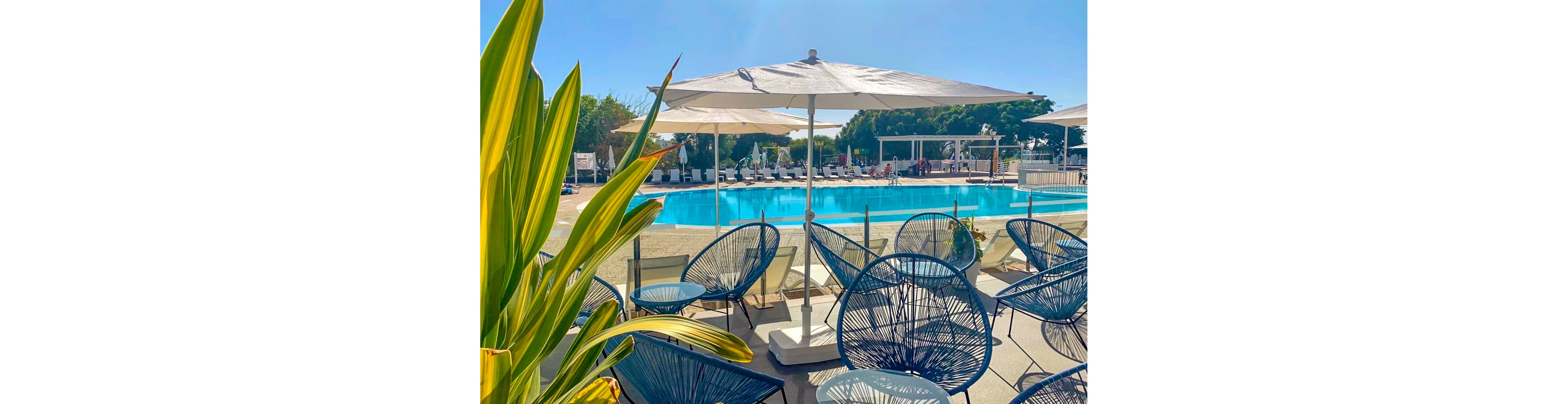 Hyde Park Lane Bungalows