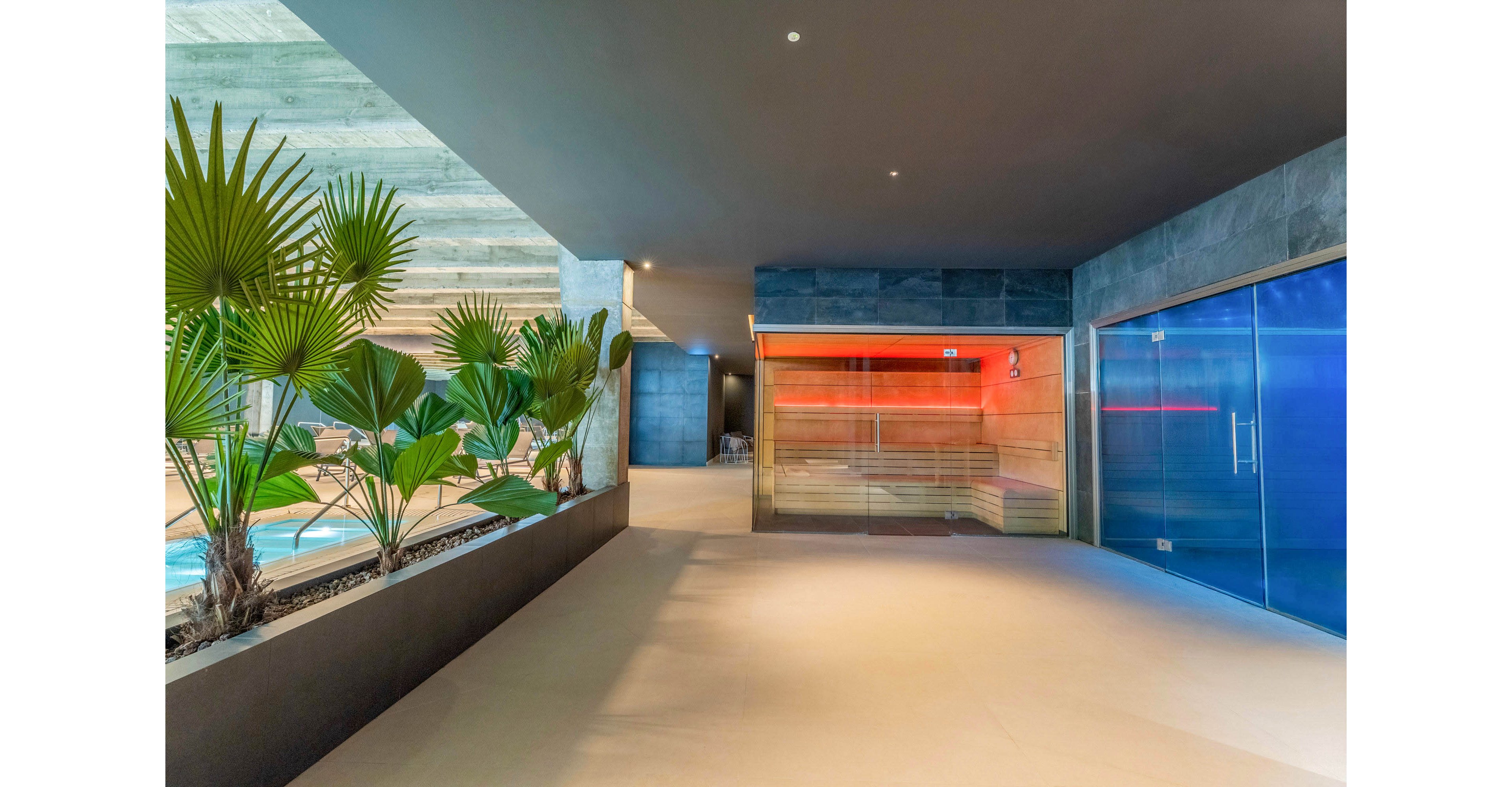 A contemporary spa interior features a bright corridor leading to a glass-enclosed sauna. Warm orange light glows from the sauna, contrasting with cool blue glass doors on the right. Indoor tropical plants line the walkway, adding greenery to the minimalist design. In the background, a swimming pool area is partially visible, enhancing the relaxing wellness atmosphere.