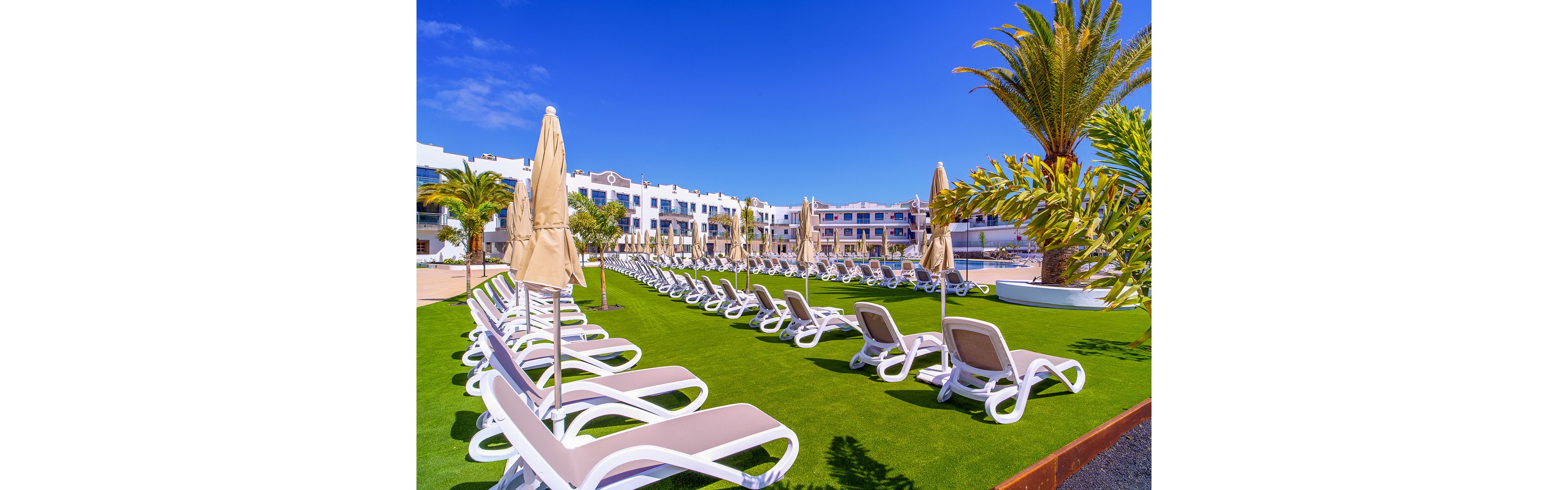 Cordial Marina Blanca