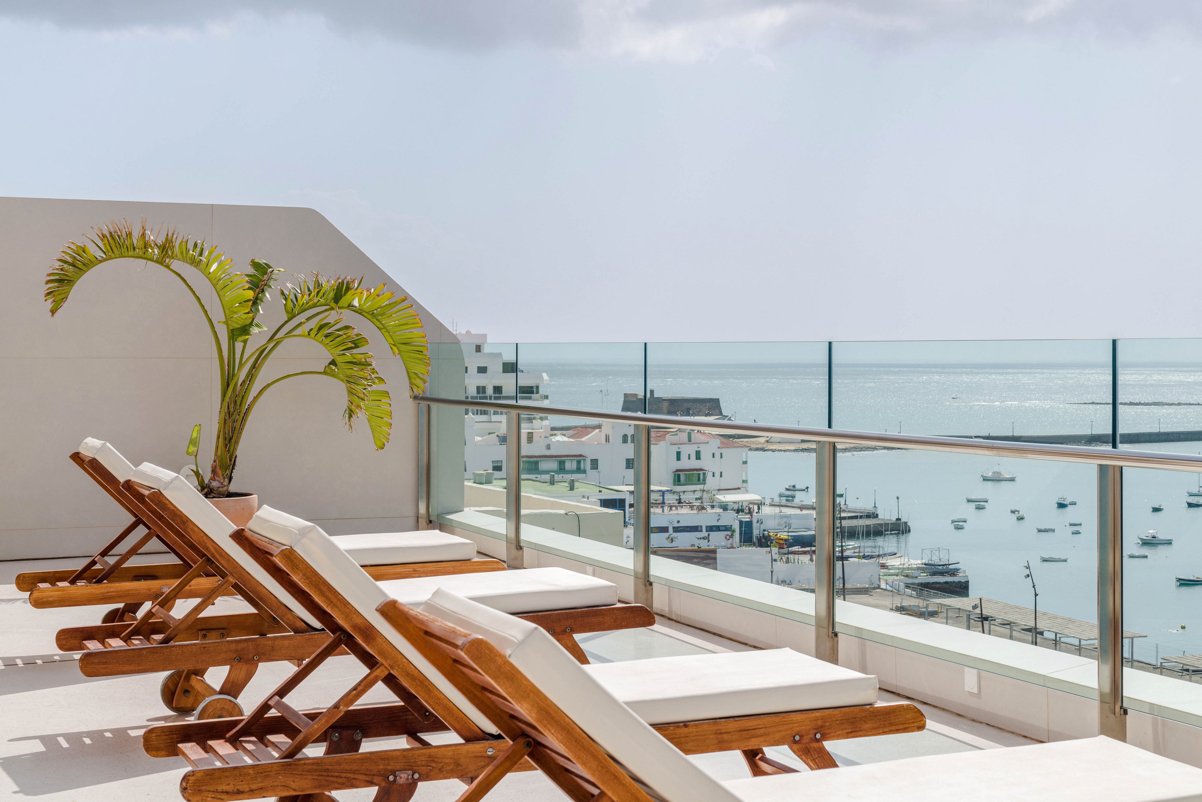 Plus Fariones Habitat