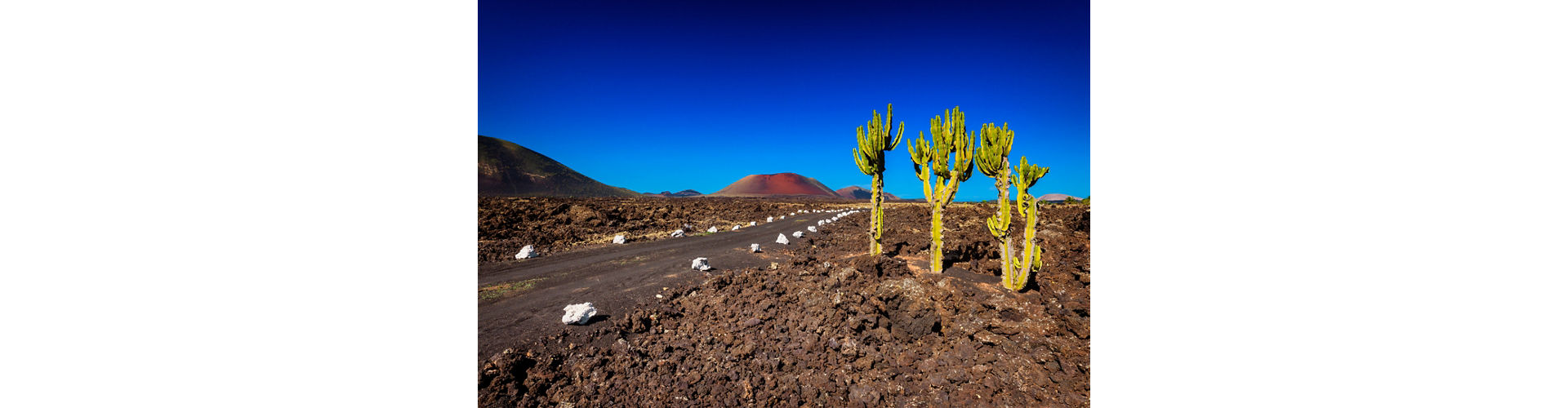 A road winding through Timanfaya National Park, with volcanic landscapes and cactus under a clear blue sky.