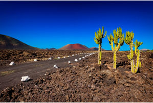 Timanfaya National Park