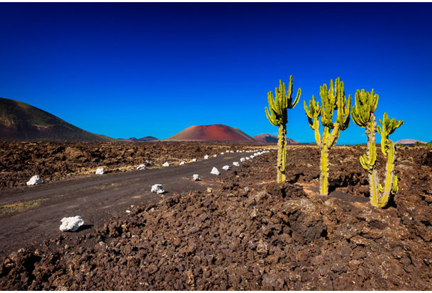 Timanfaya National Park