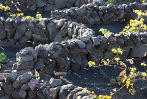Yaiza Winery 