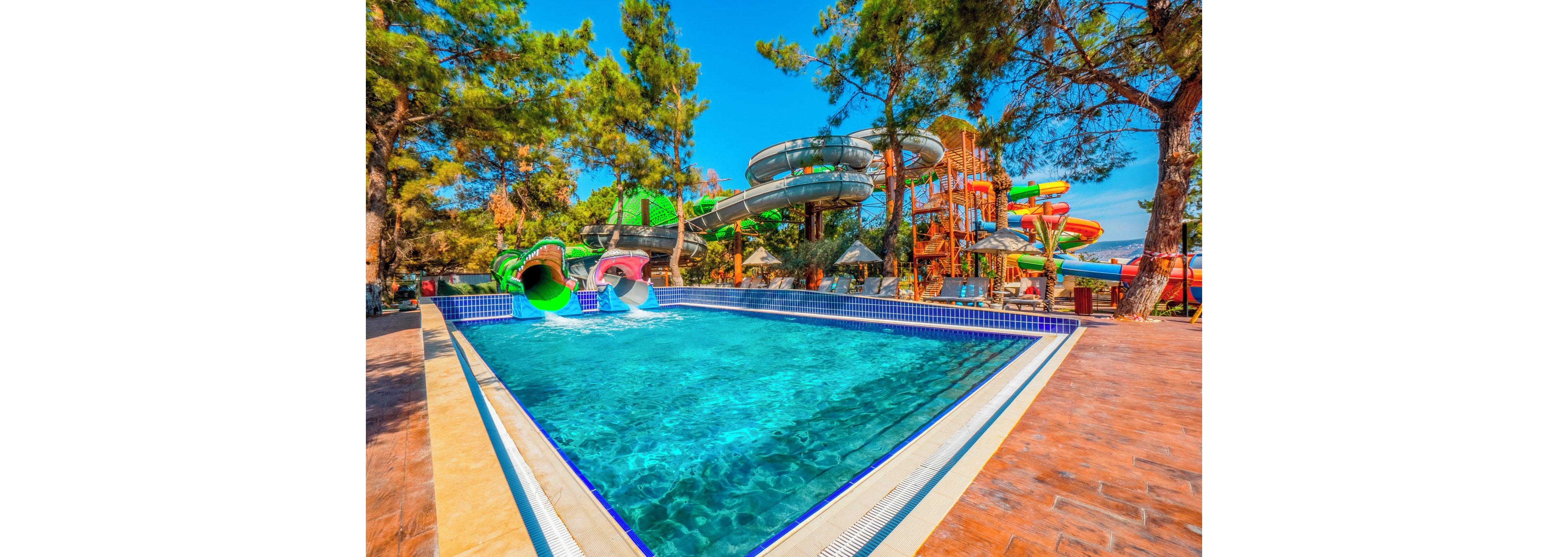 Long Beach Club Nature.