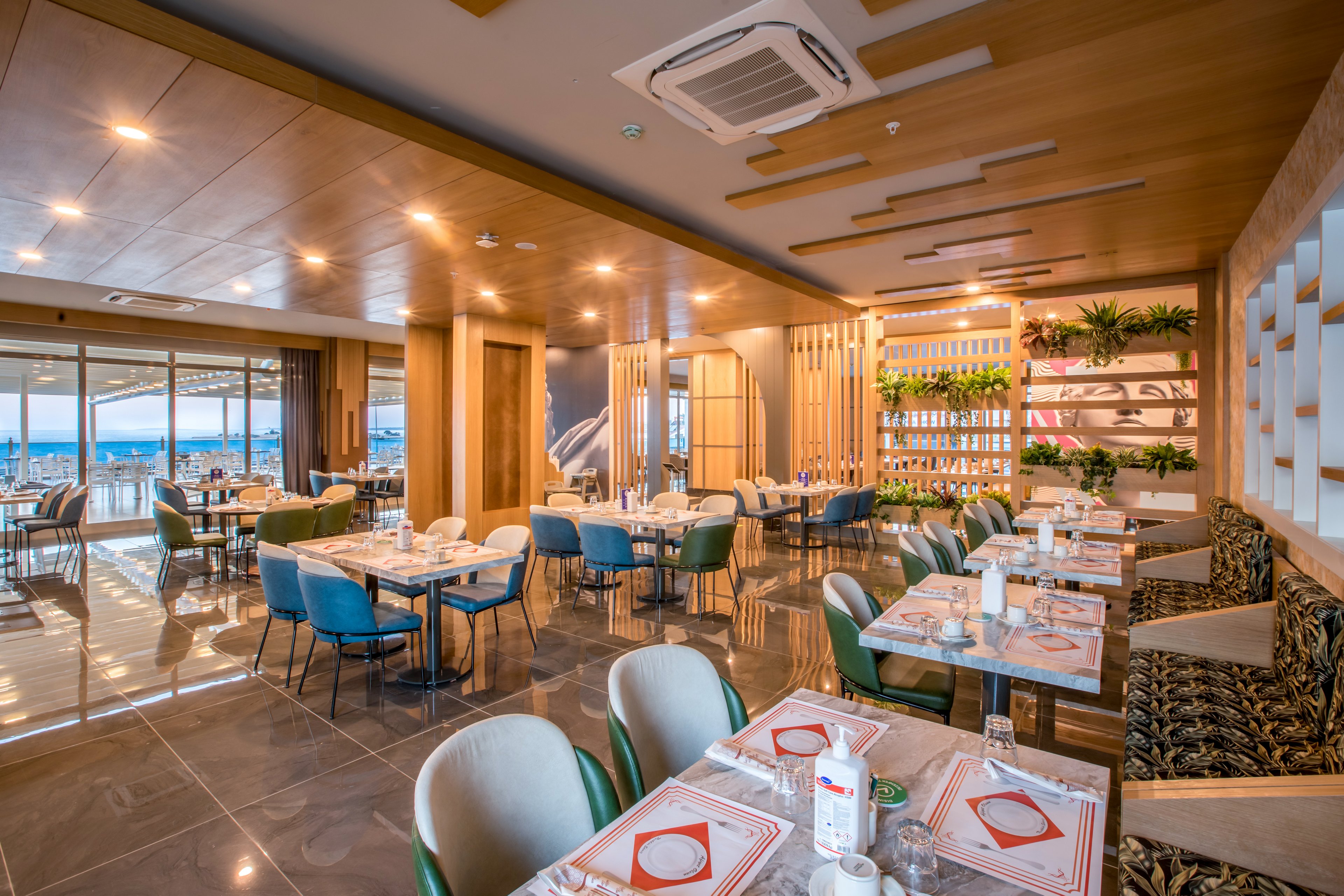 Maxeria Blue Didyma.