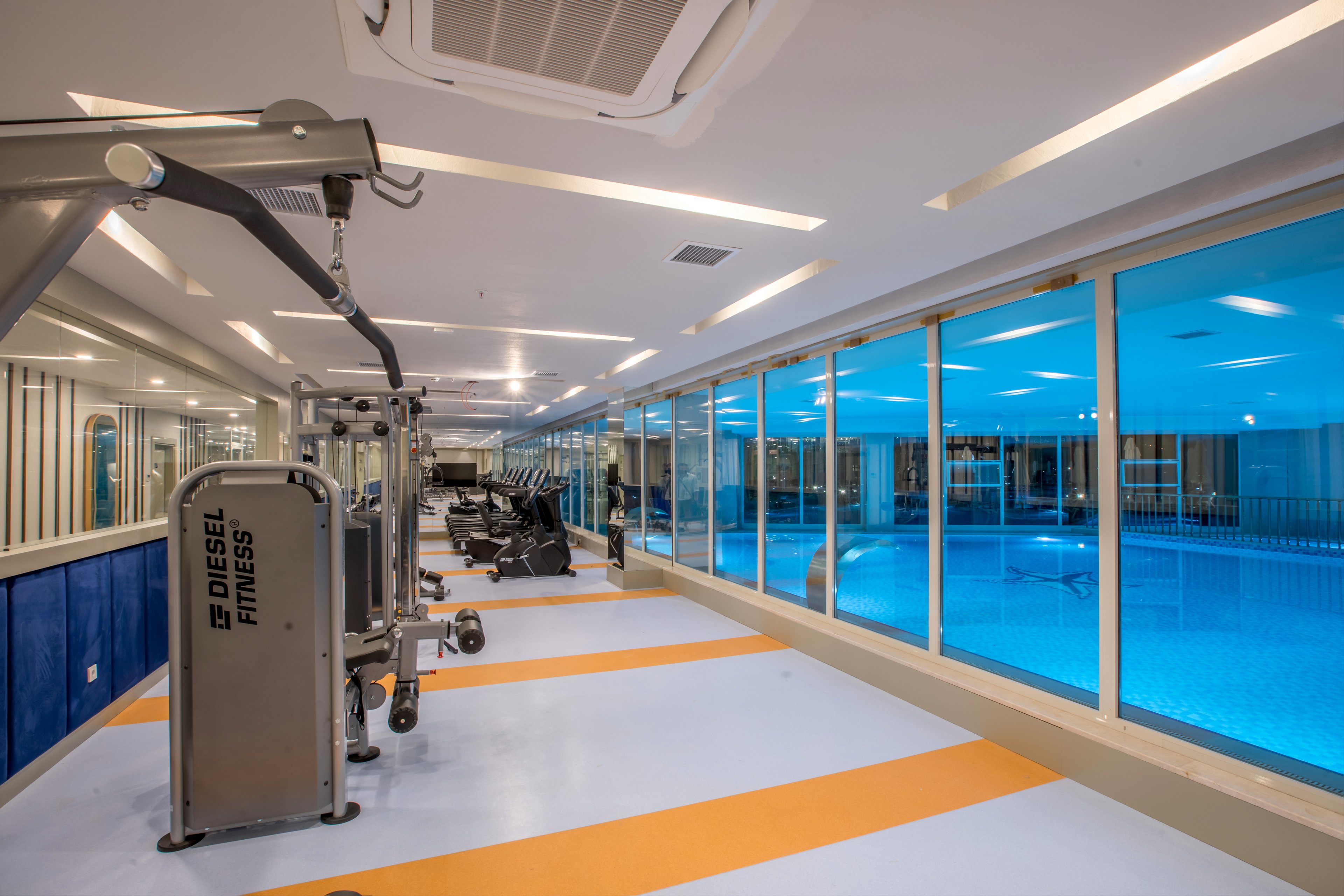 Maxeria Blue Didyma.