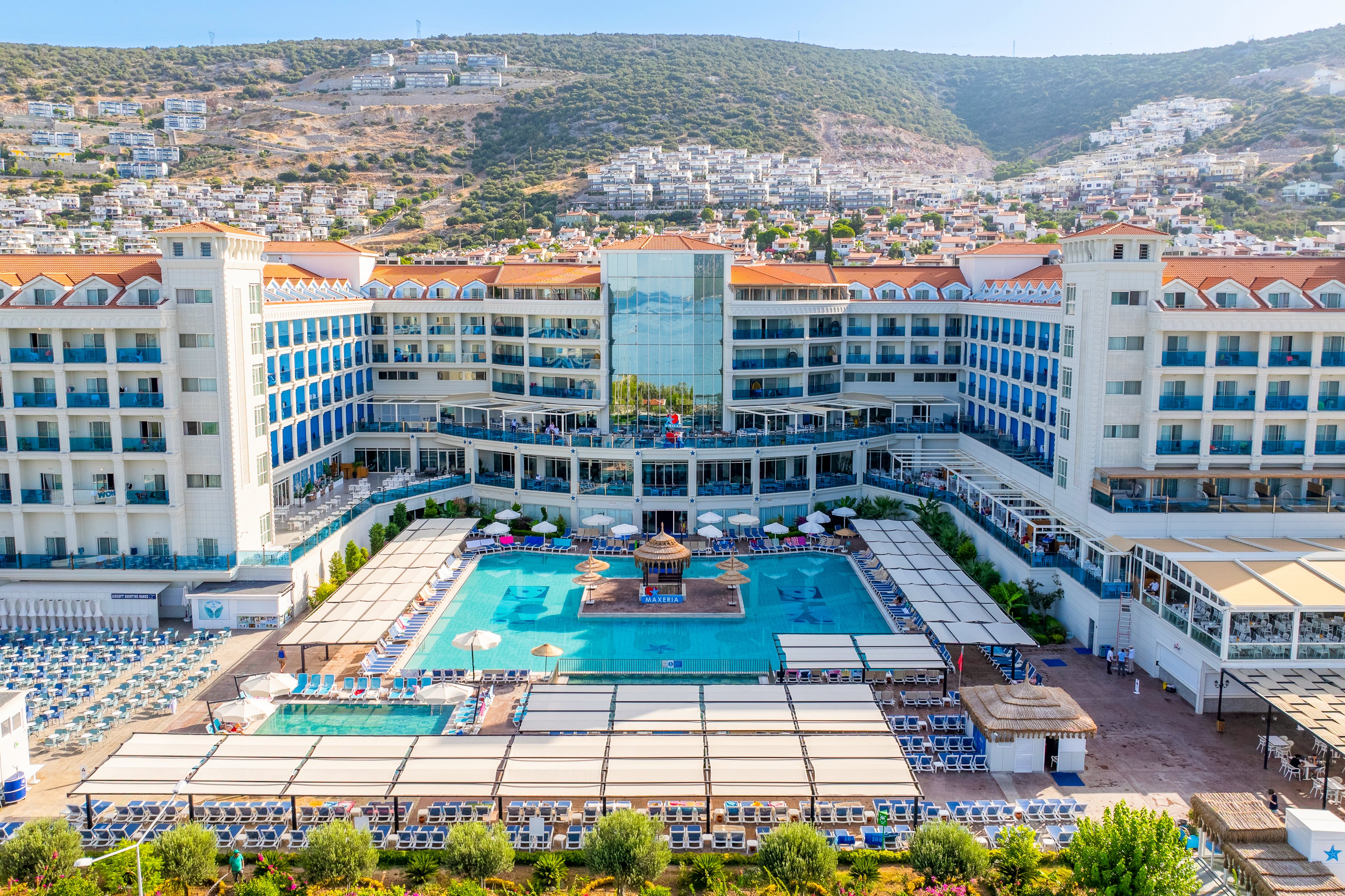 Maxeria Blue Didyma.