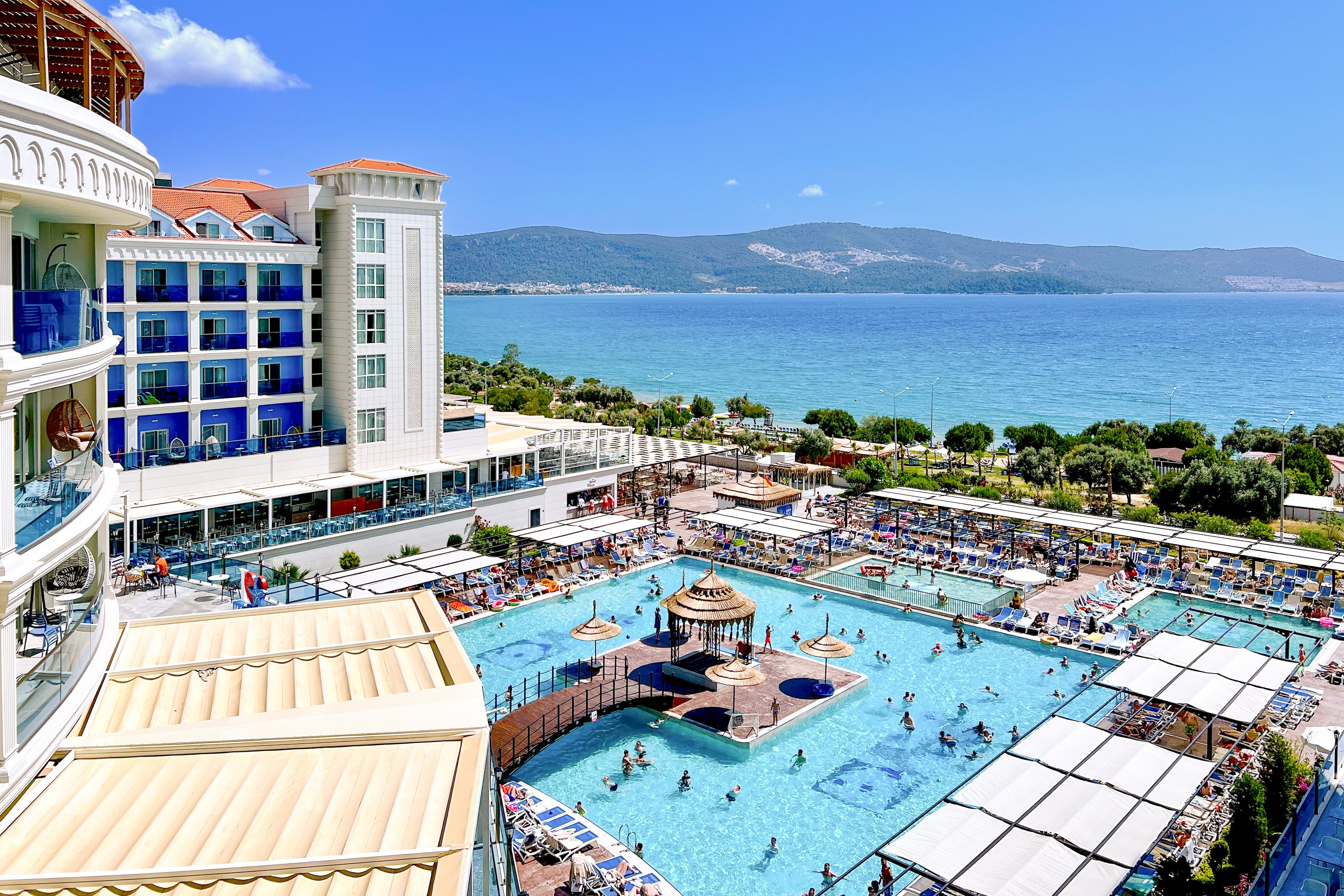 Maxeria Blue Didyma.