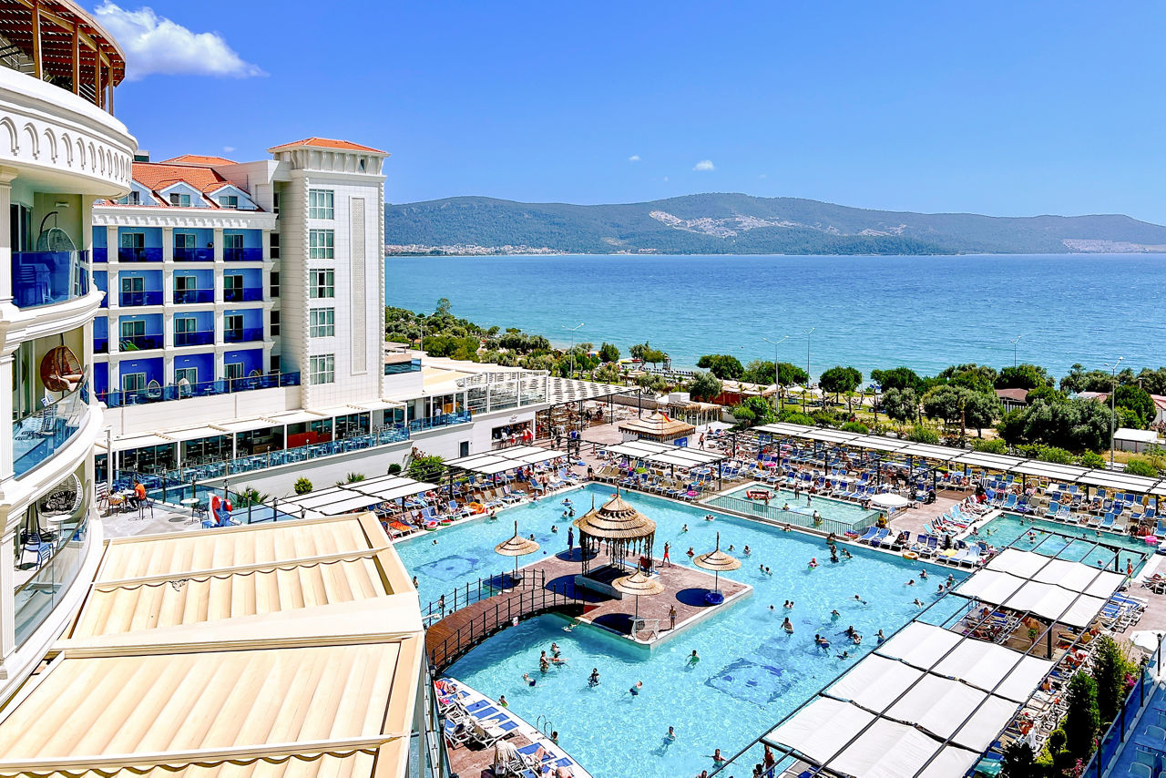 Maxeria Blue Didyma.