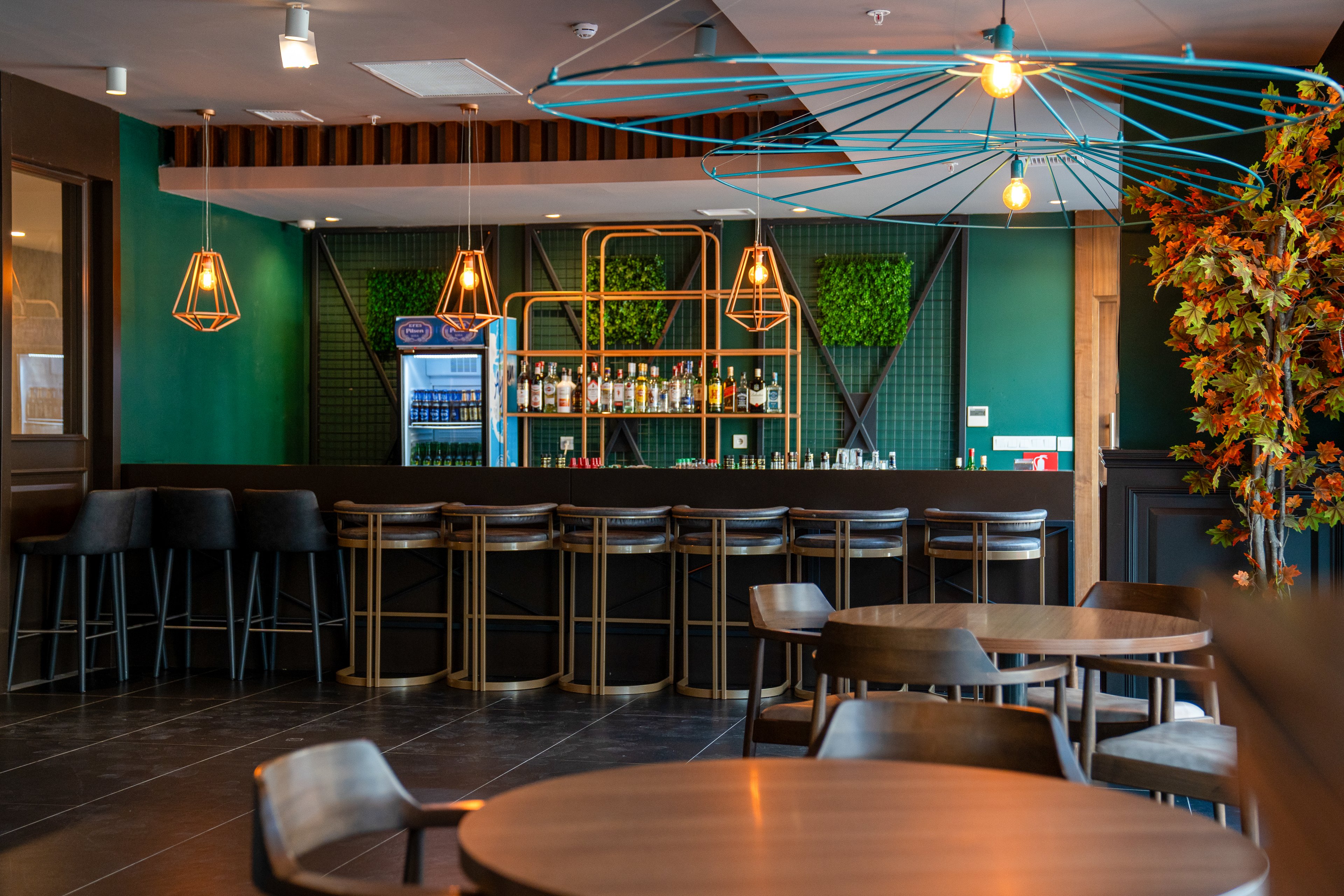 Maxeria Blue Didyma.