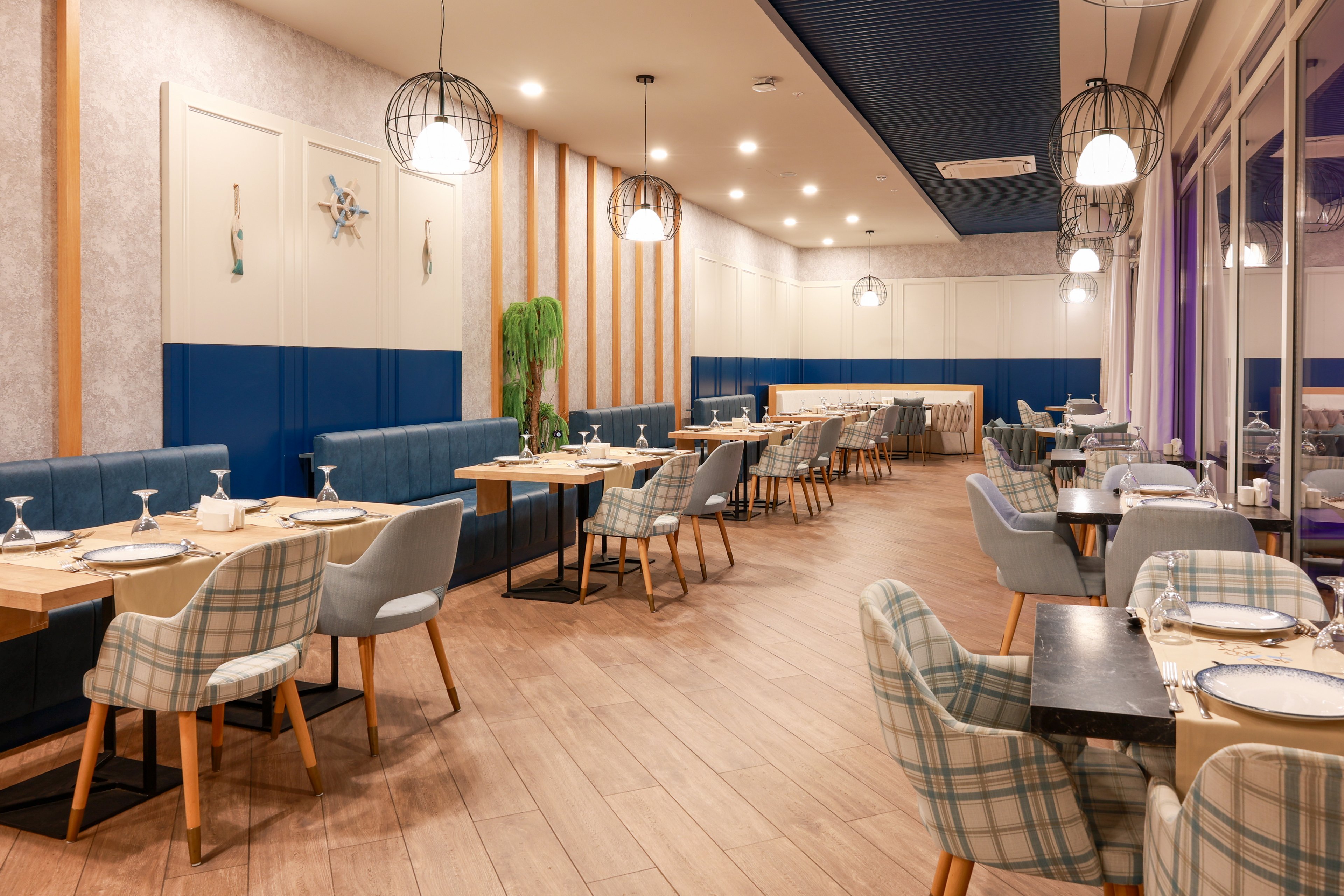 Maxeria Blue Didyma.