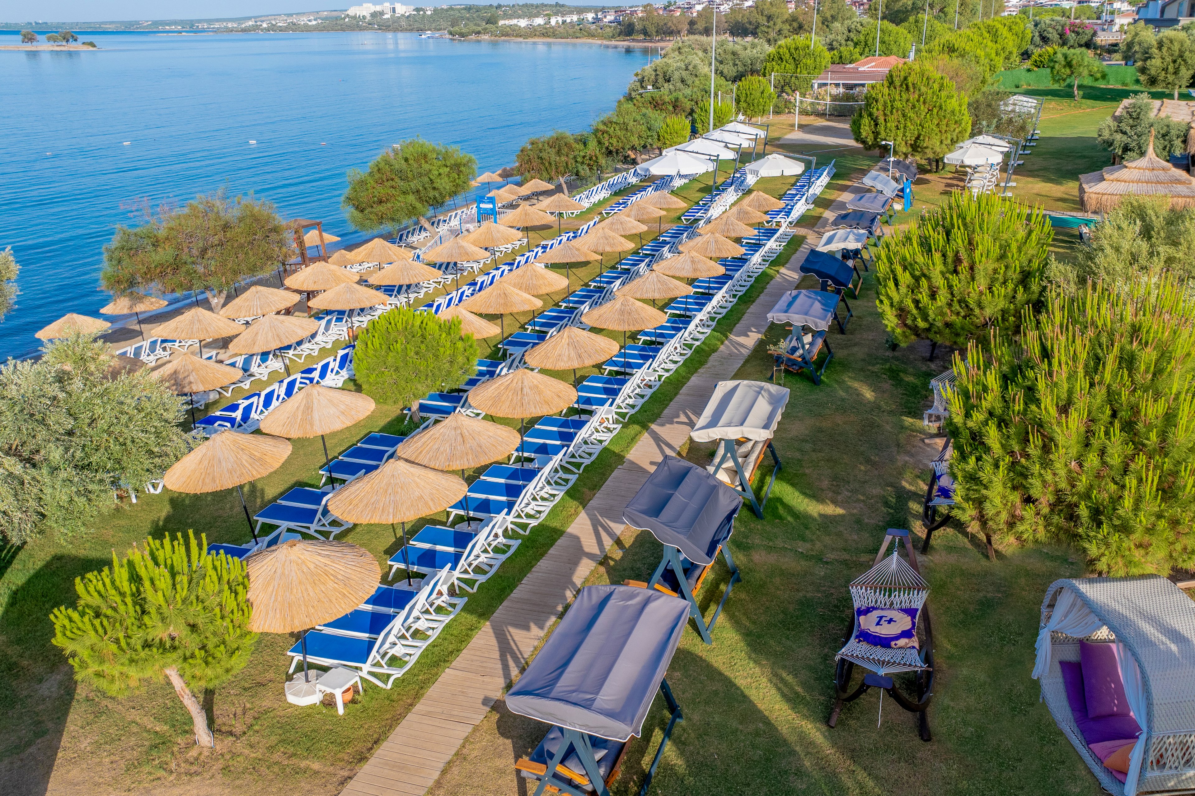 Maxeria Blue Didyma.