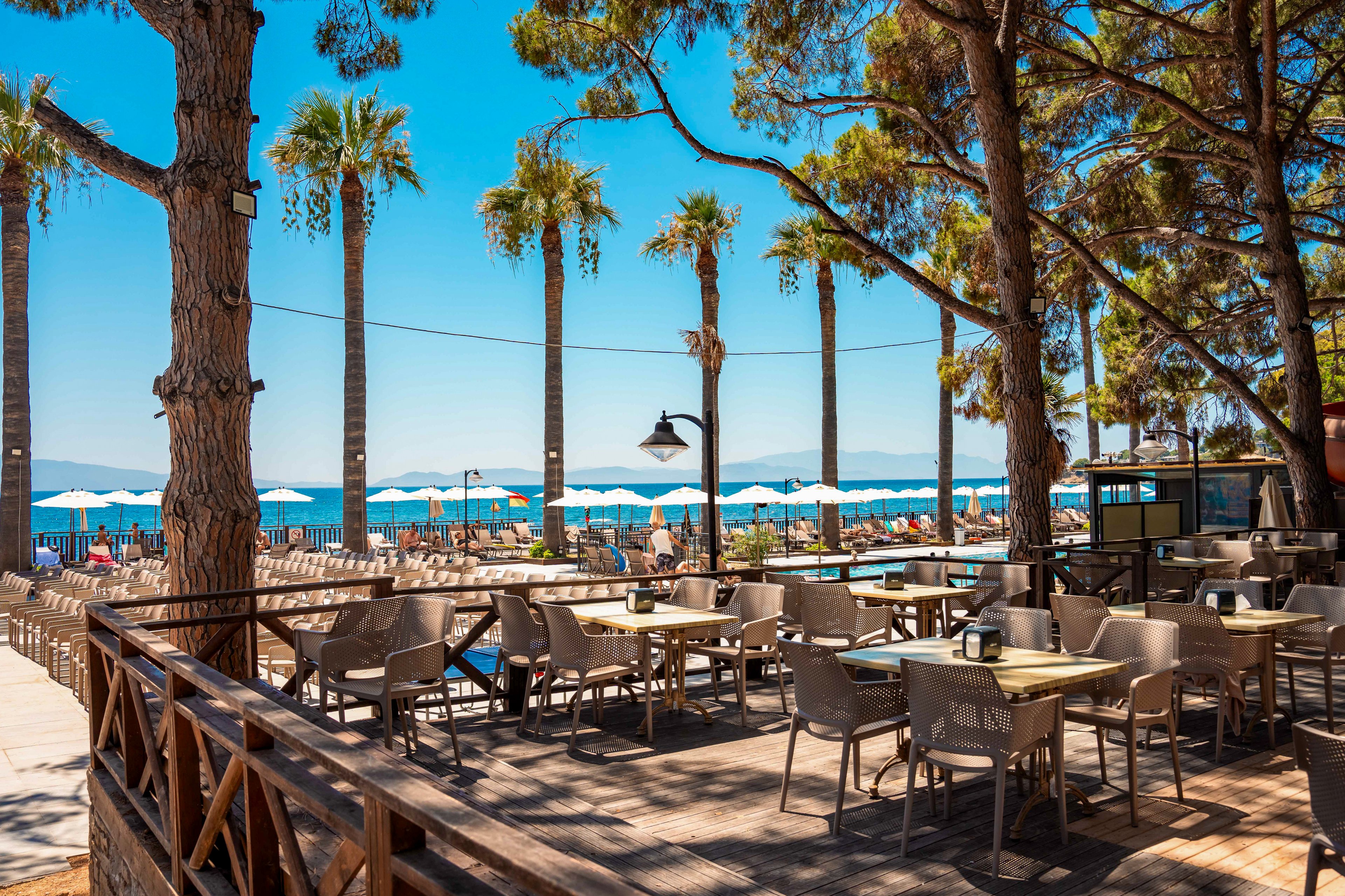 An open-air restaurant with neatly arranged tables and chairs, situated near a beach. The setting features tall palm trees and a clear blue sky, creating a tropical ambiance. White umbrellas line the beachfront, enhancing the relaxed and sunny atmosphere.
