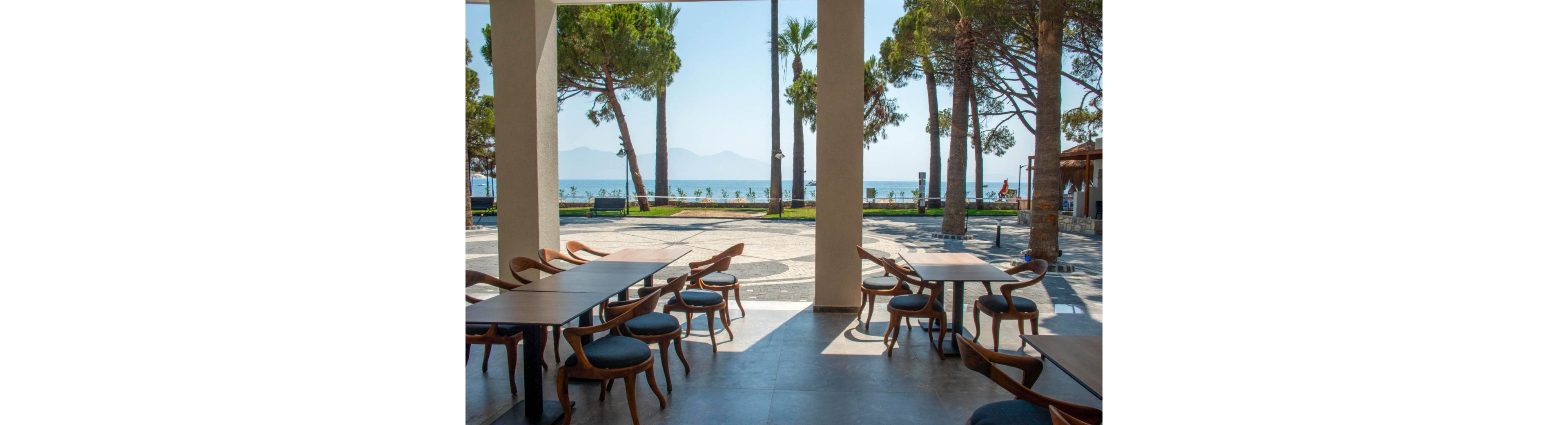 An open-air cafe with wooden chairs and tables overlooks a scenic seaside promenade. The setting features palm trees, clear blue skies, and distant mountains. The tranquil atmosphere is ideal for relaxation or casual dining.