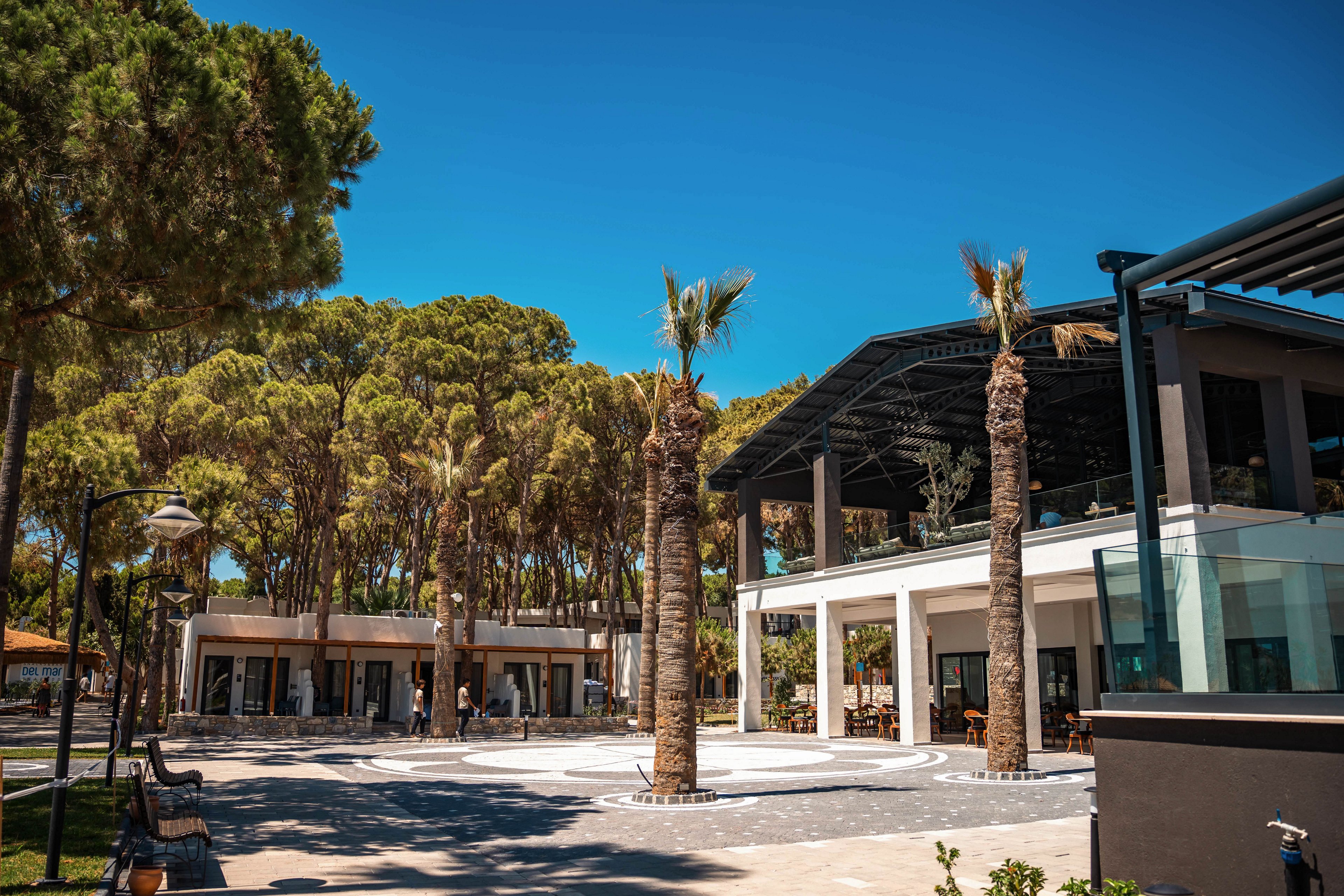 A contemporary outdoor venue surrounded by tall palm trees and lush greenery. The setting features a spacious courtyard with seating areas and modern architectural elements. Bright blue skies and natural light enhance the vibrant atmosphere.
