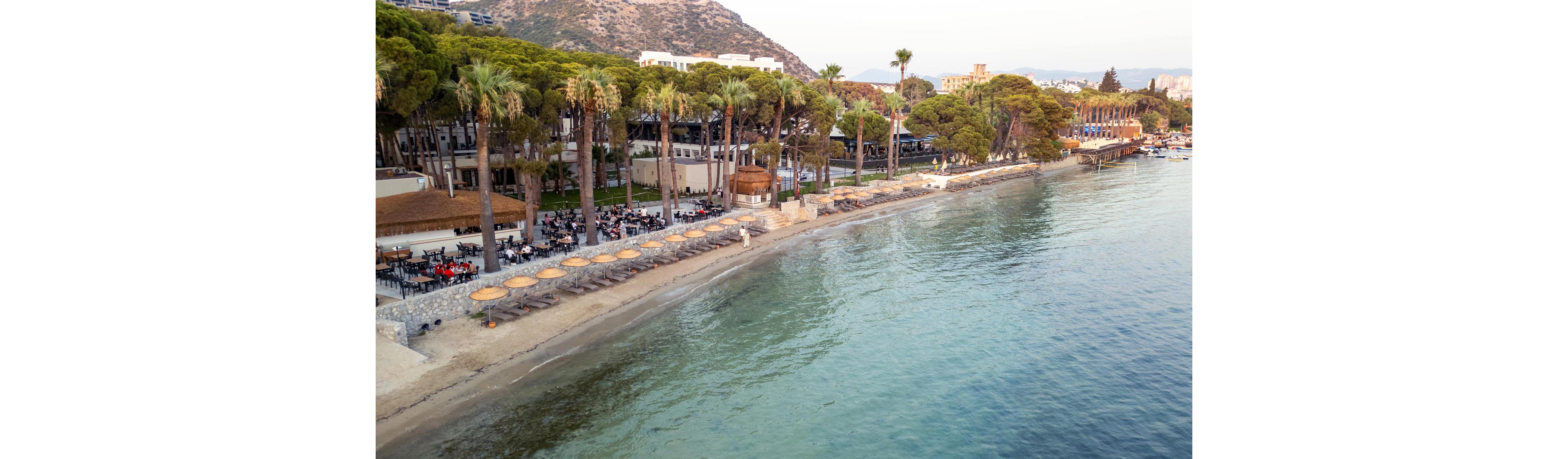 An aerial view shows a coastal resort lined with tall palm trees beside a calm, clear sea. A row of sun loungers and straw umbrellas stretches along the sandy shoreline, ready for beach visitors. On the left, an open-air dining area is filled with people seated at tables, creating a lively atmosphere. In the background, low-rise buildings and a hillside complete the scenic waterfront setting.