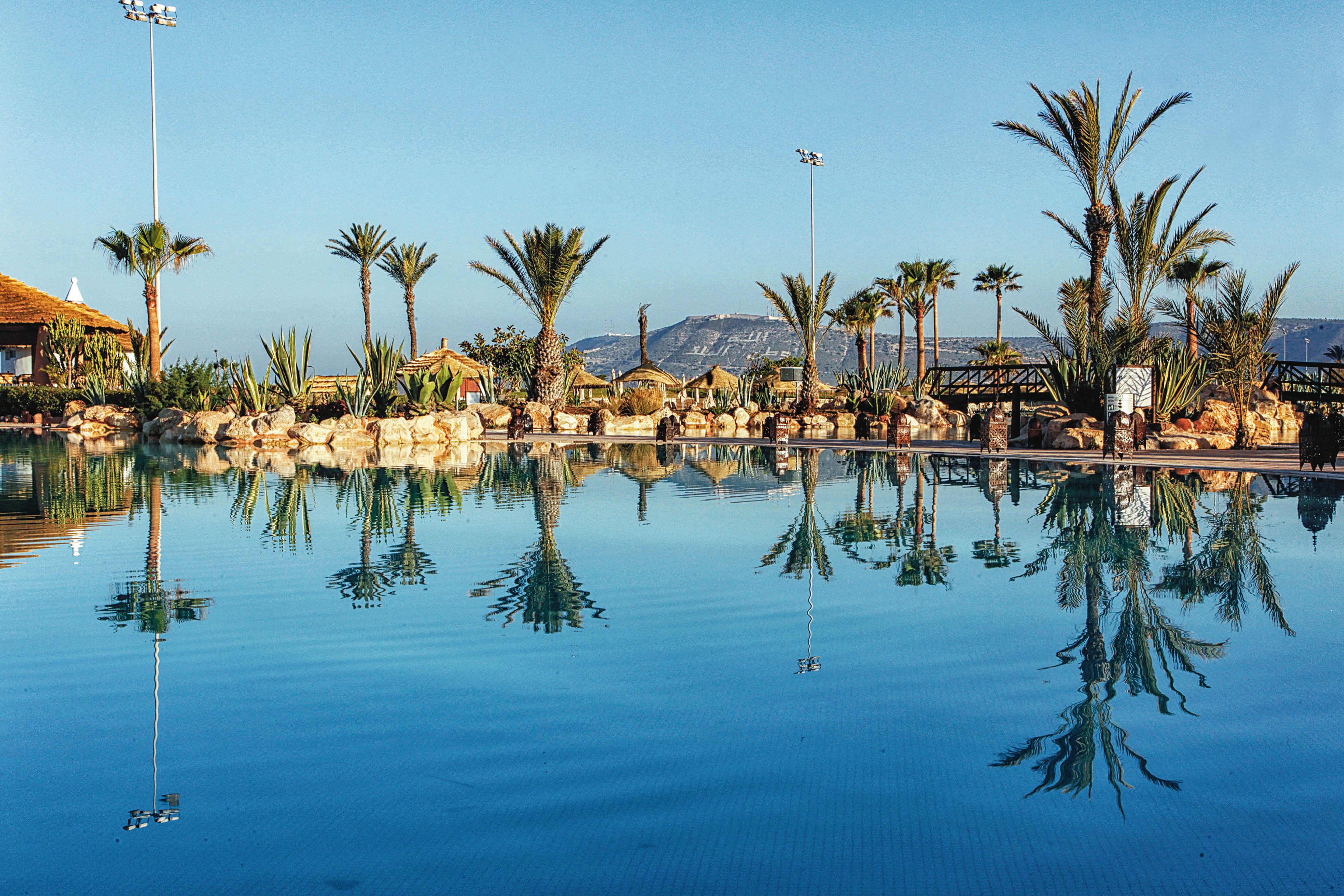 A serene outdoor swimming pool is surrounded by palm trees and lush greenery, reflecting perfectly in the calm water. The setting appears to be a tropical or desert resort, with clear blue skies and distant mountains in the background. The tranquil atmosphere is enhanced by natural stone landscaping and soft morning light.