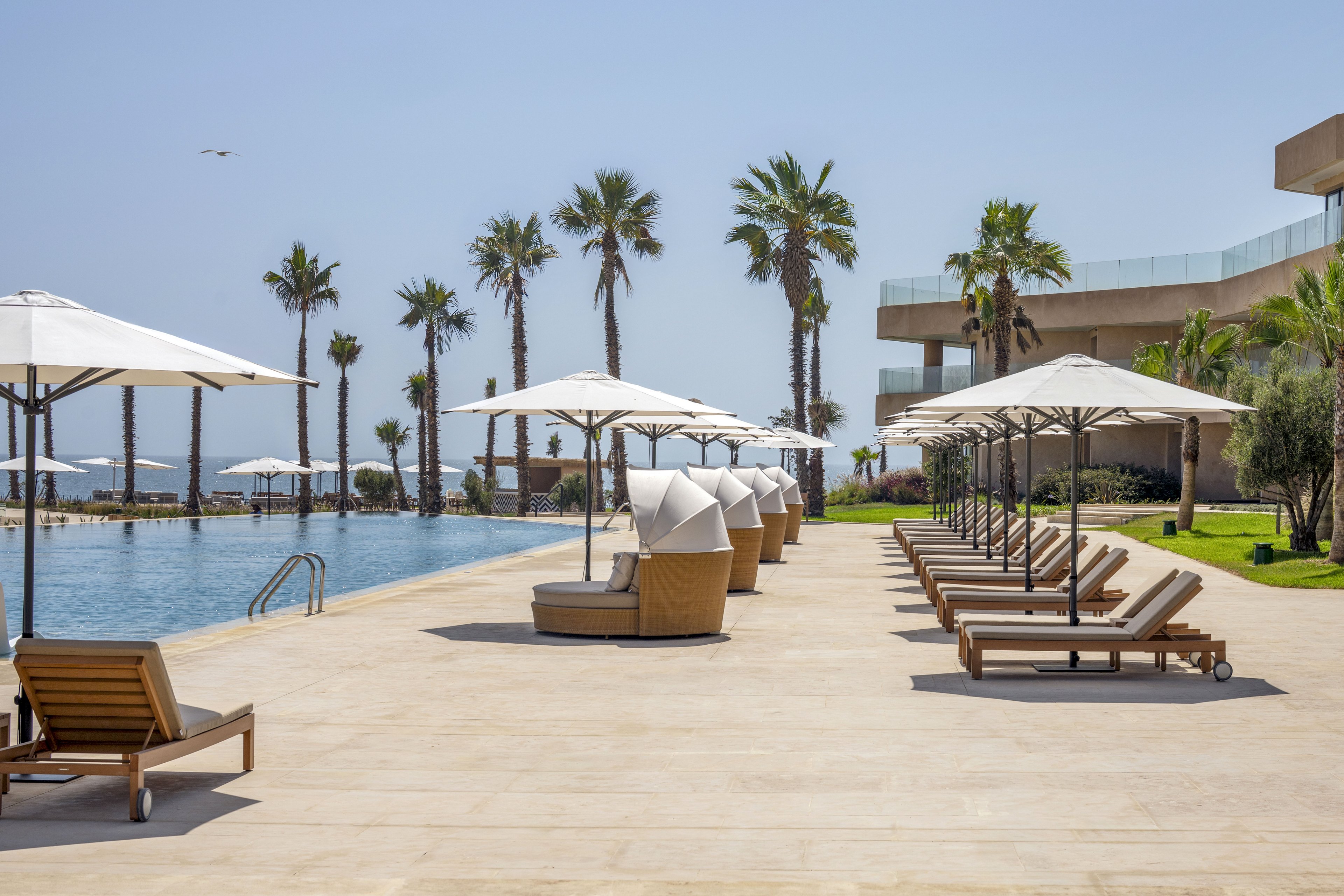 An upscale resort poolside features a long infinity-style swimming pool beside a row of wooden sun loungers and white umbrellas. Curved cabana-style daybeds with white canopies add a touch of luxury to the terrace. Palm trees line the edge of the property, framing views of the ocean under a clear blue sky. Modern buildings and manicured lawns complete the serene vacation setting.
