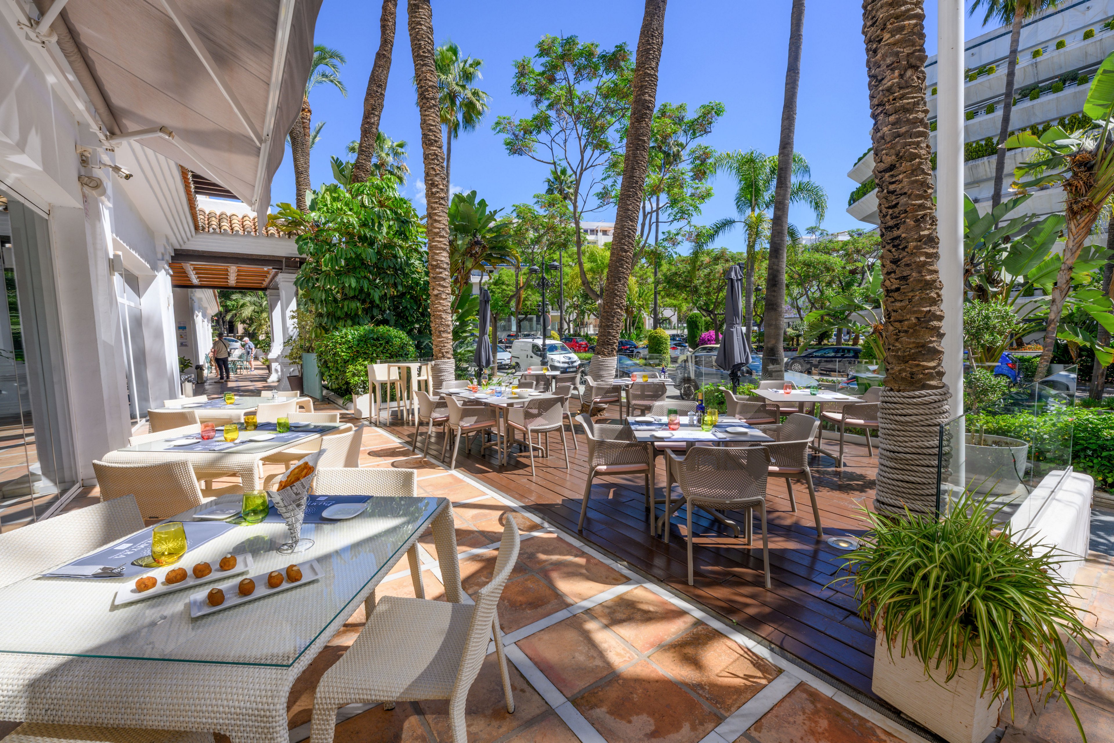 An elegant outdoor restaurant terrace is set with modern tables and chairs under tall palm trees. Sunlight filters through the trees, creating a bright and inviting dining atmosphere. Glassware, plates, and small decorative items are neatly arranged on the tables, suggesting a prepared service. The scene overlooks a lush, green urban street, giving the space a relaxed resort-like feel.