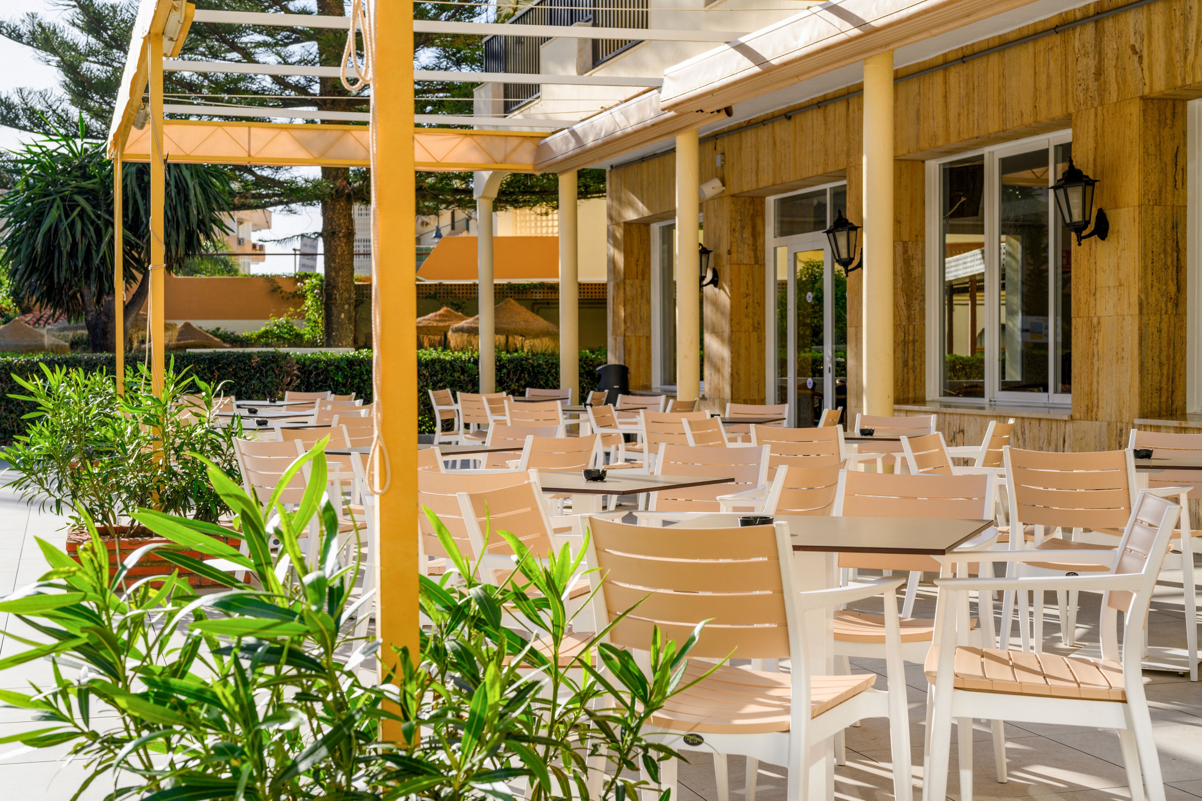 An inviting outdoor café terrace features rows of light wooden tables and chairs neatly arranged. The seating area is shaded by a yellow pergola structure attached to a modern building with large windows. Green potted plants in the foreground add a fresh, natural touch to the bright setting. The scene is sunlit and quiet, suggesting a relaxed atmosphere before guests arrive.
