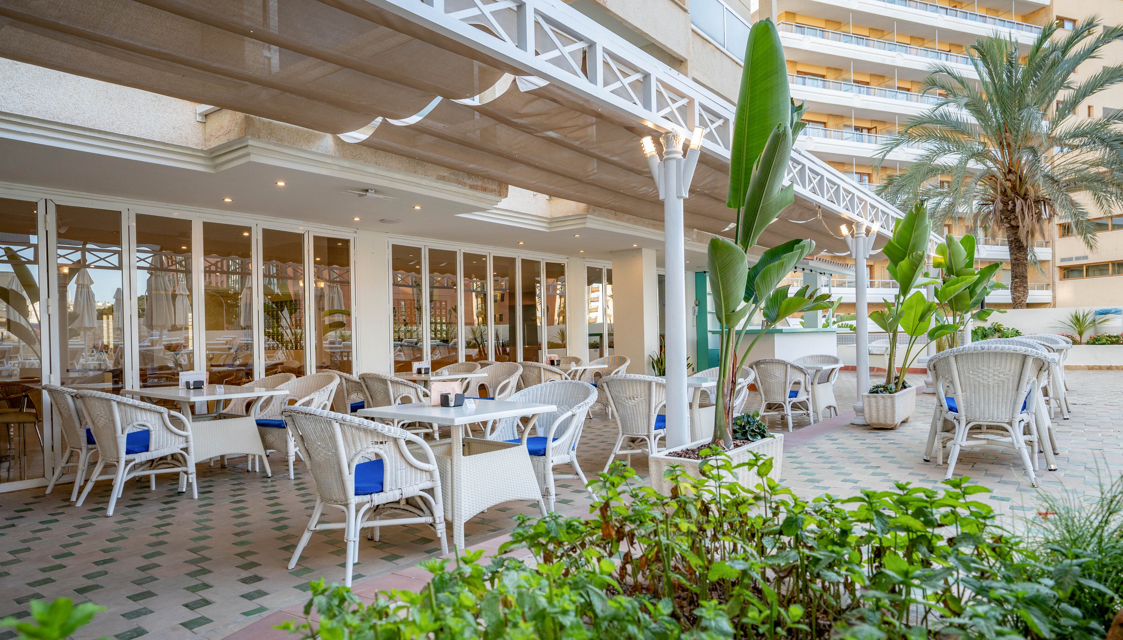 An empty outdoor terrace cafe features white wicker chairs and tables arranged neatly under a covered patio. Large glass doors line the building, reflecting the surrounding resort architecture. Tropical plants and palm trees frame the seating area, adding greenery to the tiled floor. The bright daylight and clean design create a relaxed, vacation-like atmosphere.