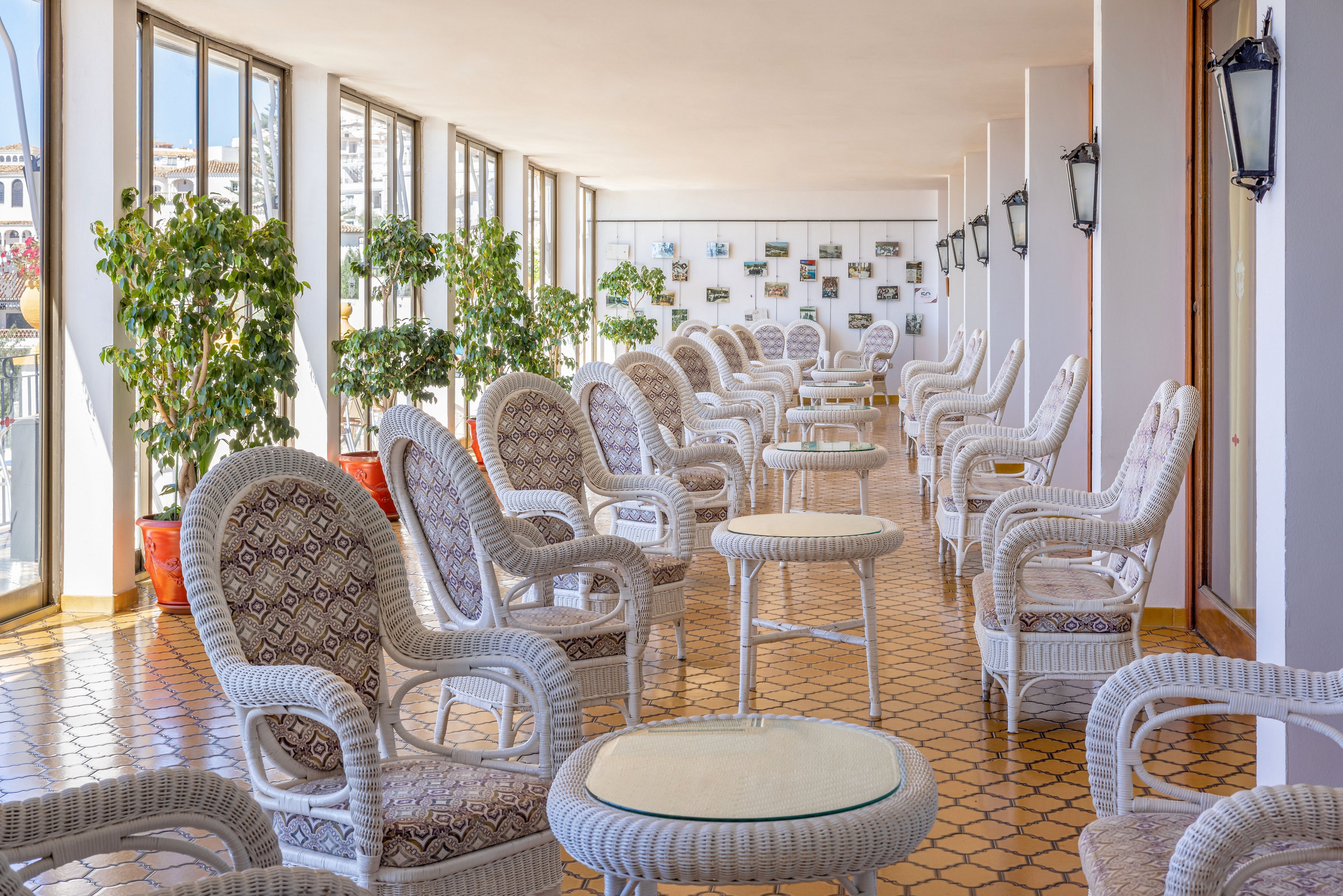 A long, bright sunroom features rows of white wicker armchairs and small round tables arranged neatly along the tiled floor. Large windows on one side let in abundant natural light and offer views of buildings outside. Potted green plants add a touch of nature to the interior, while framed pictures decorate the far wall. The space feels airy, orderly, and inviting, suitable for relaxation or social gatherings.