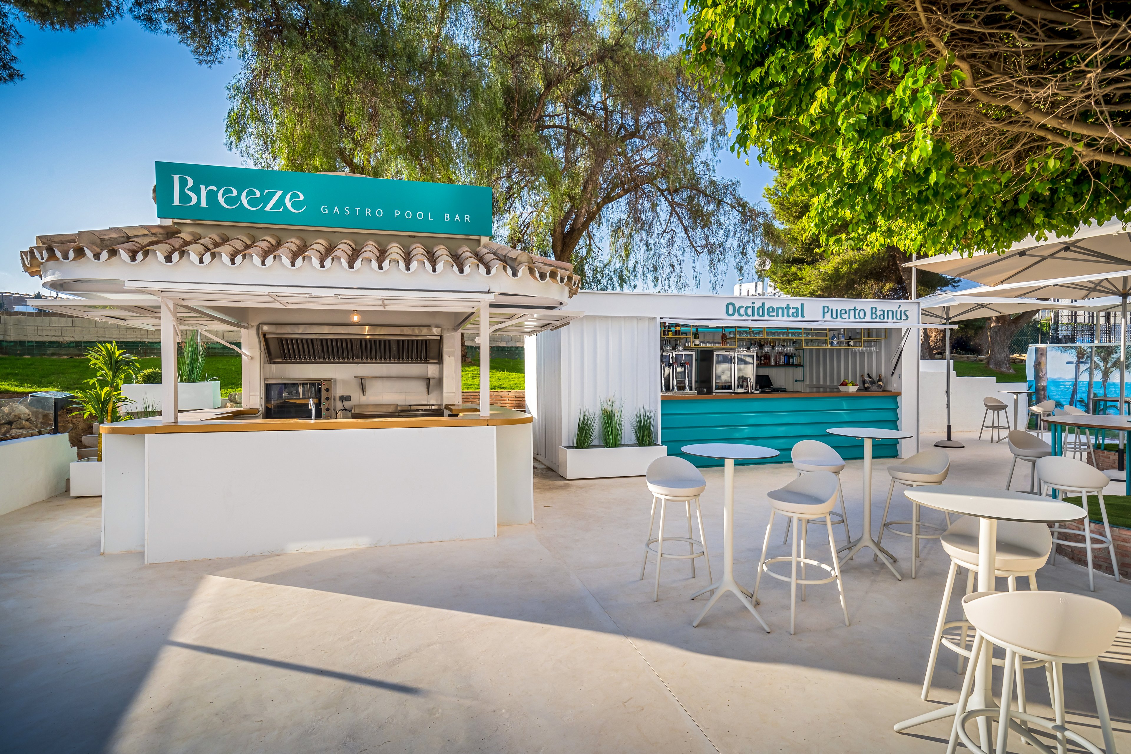 Occidental Puerto Banus