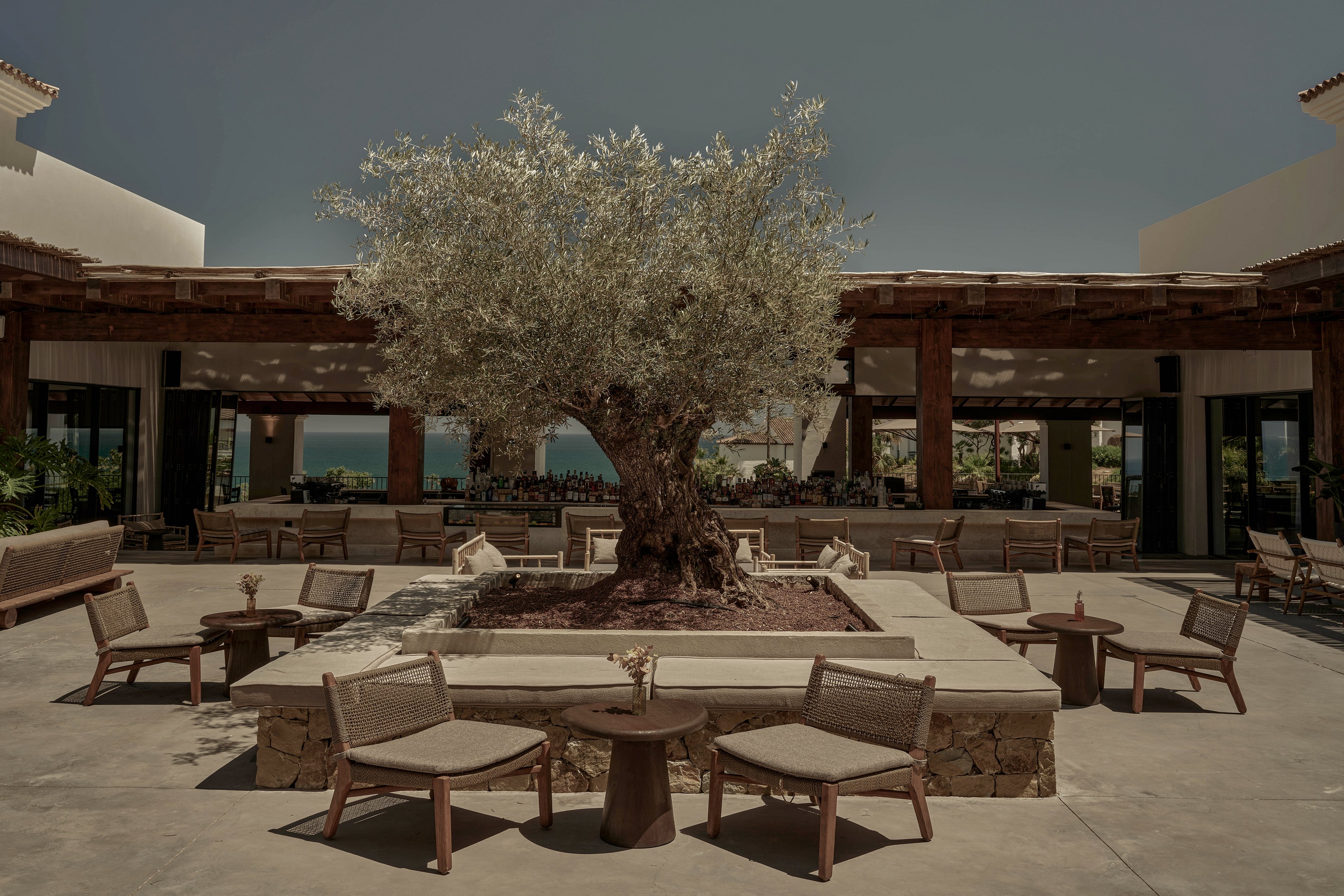 A large olive tree stands in the center of a modern open-air courtyard. Low lounge chairs and small round tables are arranged symmetrically around the raised planter. The surrounding building features wooden beams, stone details, and open walls that reveal a distant view of the sea. Warm, muted tones and soft lighting create a calm, sophisticated atmosphere. The scene suggests a resort or hotel lounge designed for relaxed outdoor socializing.