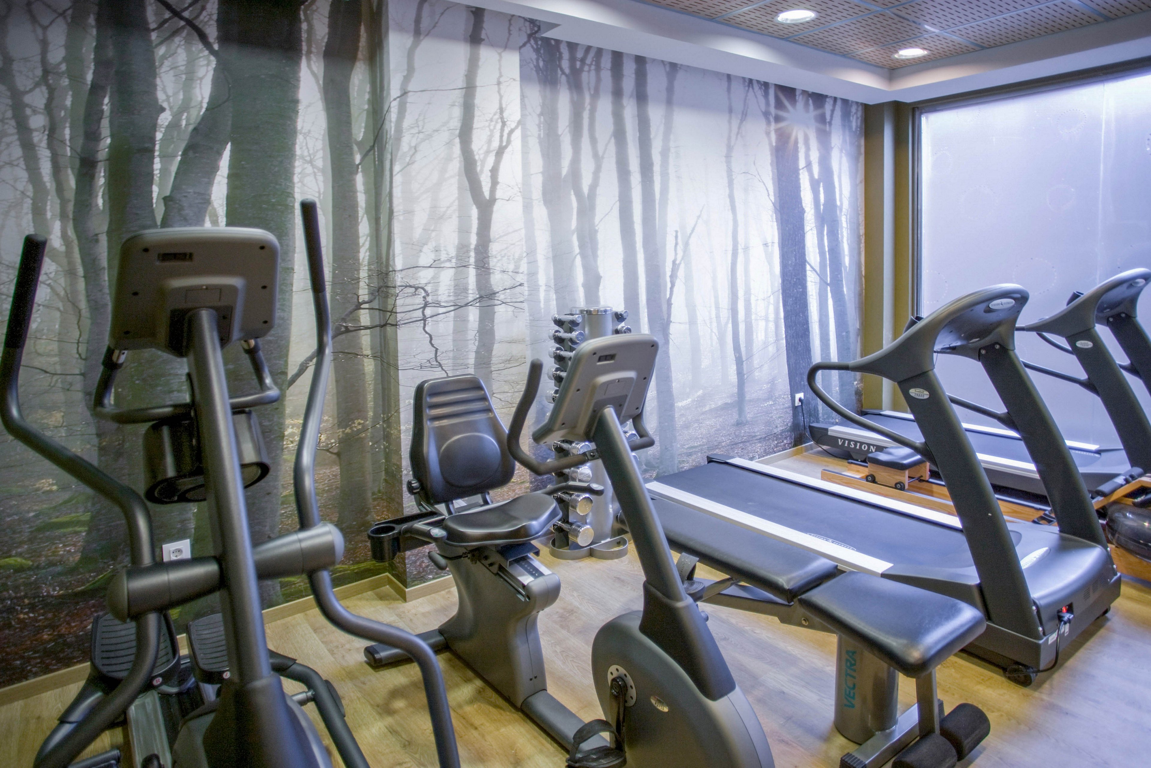 A compact fitness room features several pieces of exercise equipment, including treadmills, stationary bikes, and elliptical machines. The setting is indoors with a large wall mural depicting a misty forest, adding a calming atmosphere. The room is well-lit with natural and artificial light, and the equipment is arranged for easy access. No visible people or text are present in the image.
