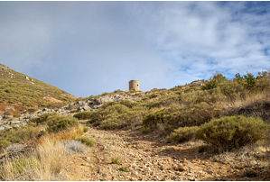 Torre de la Atalaya 