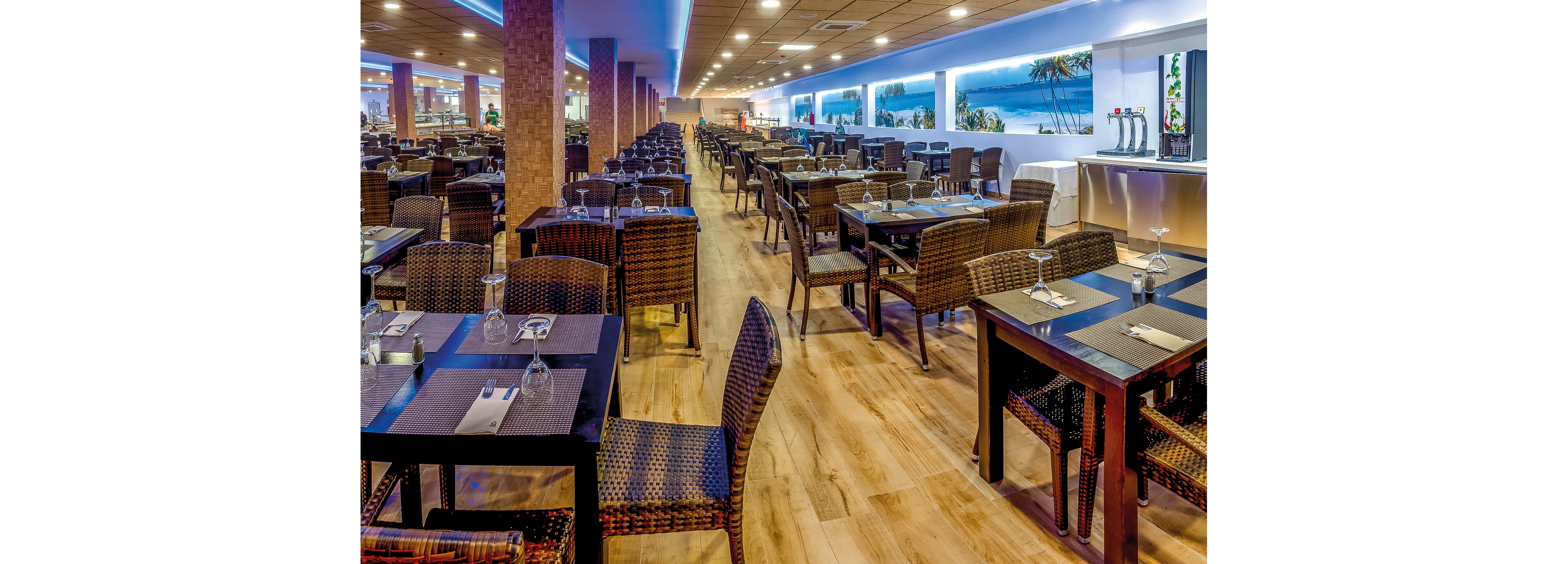 Magic Tropical Splash