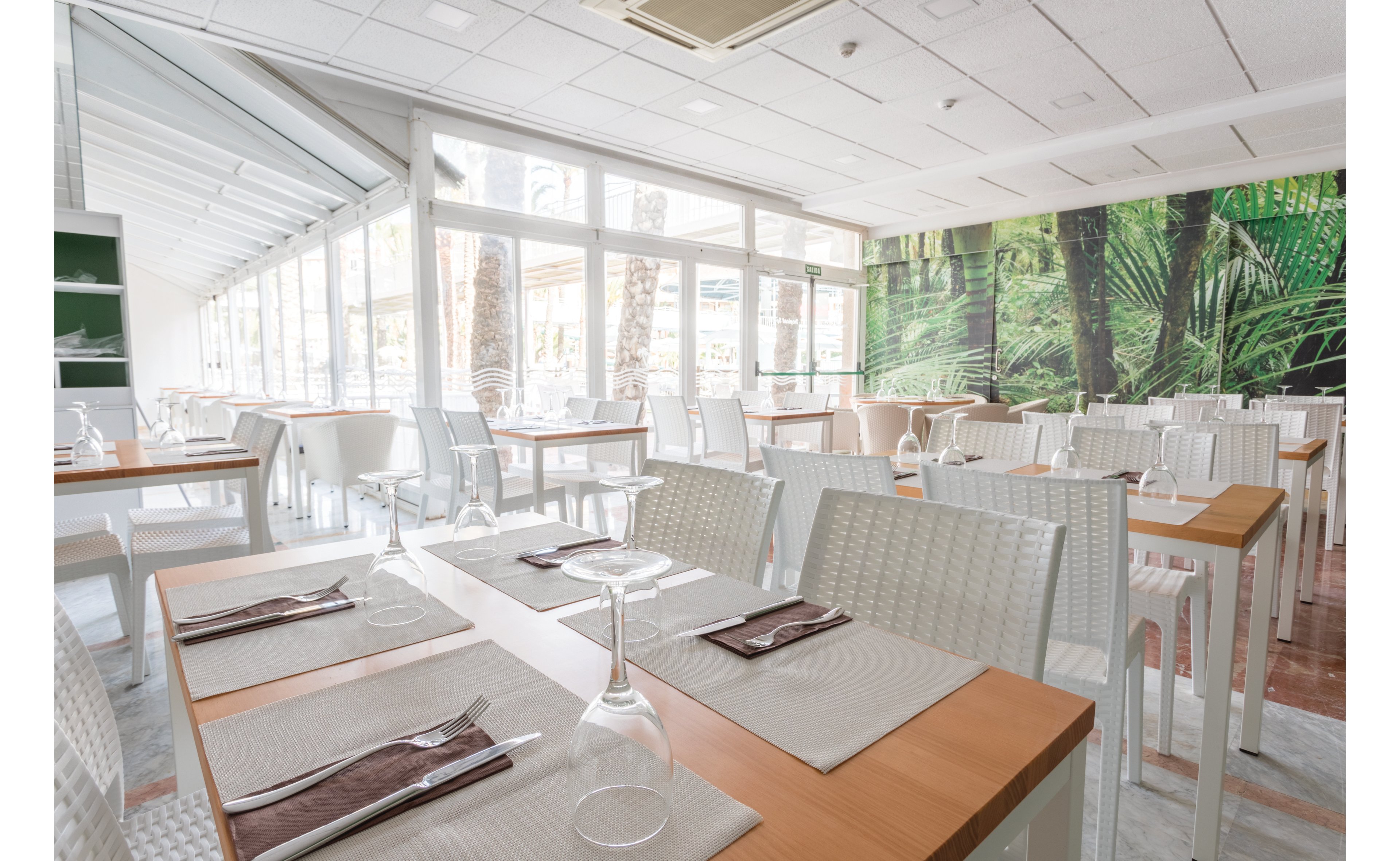 Magic Tropical Splash