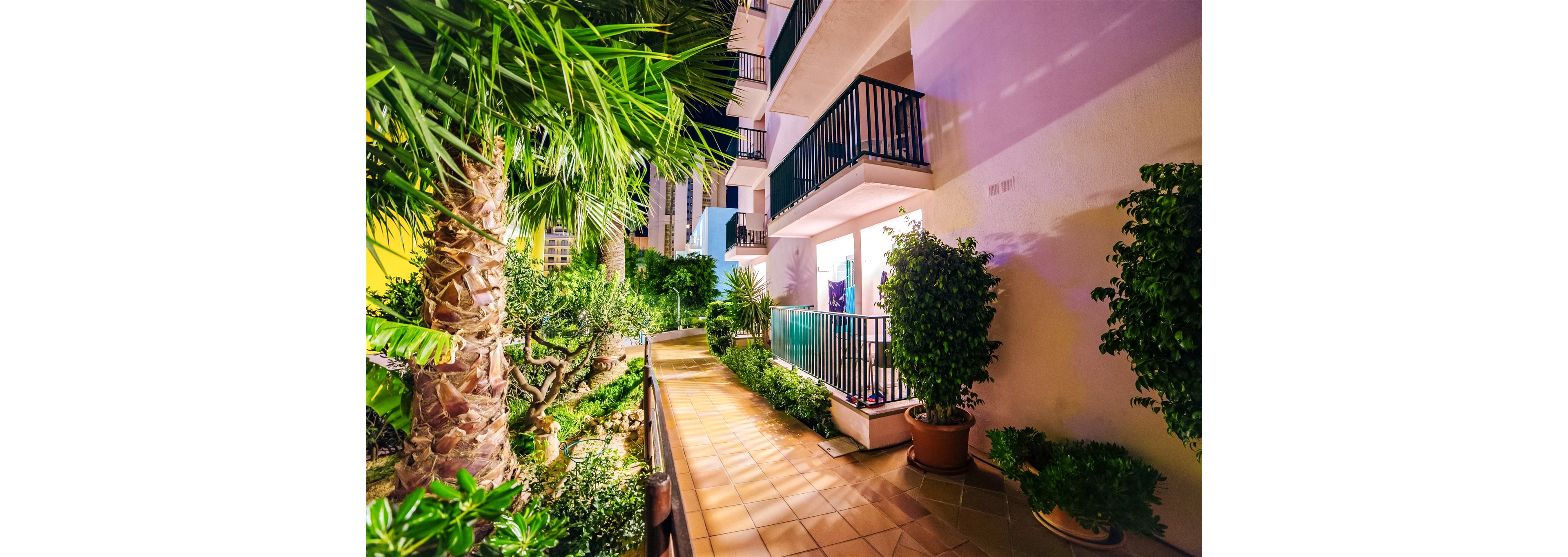 Palm Court Apartments