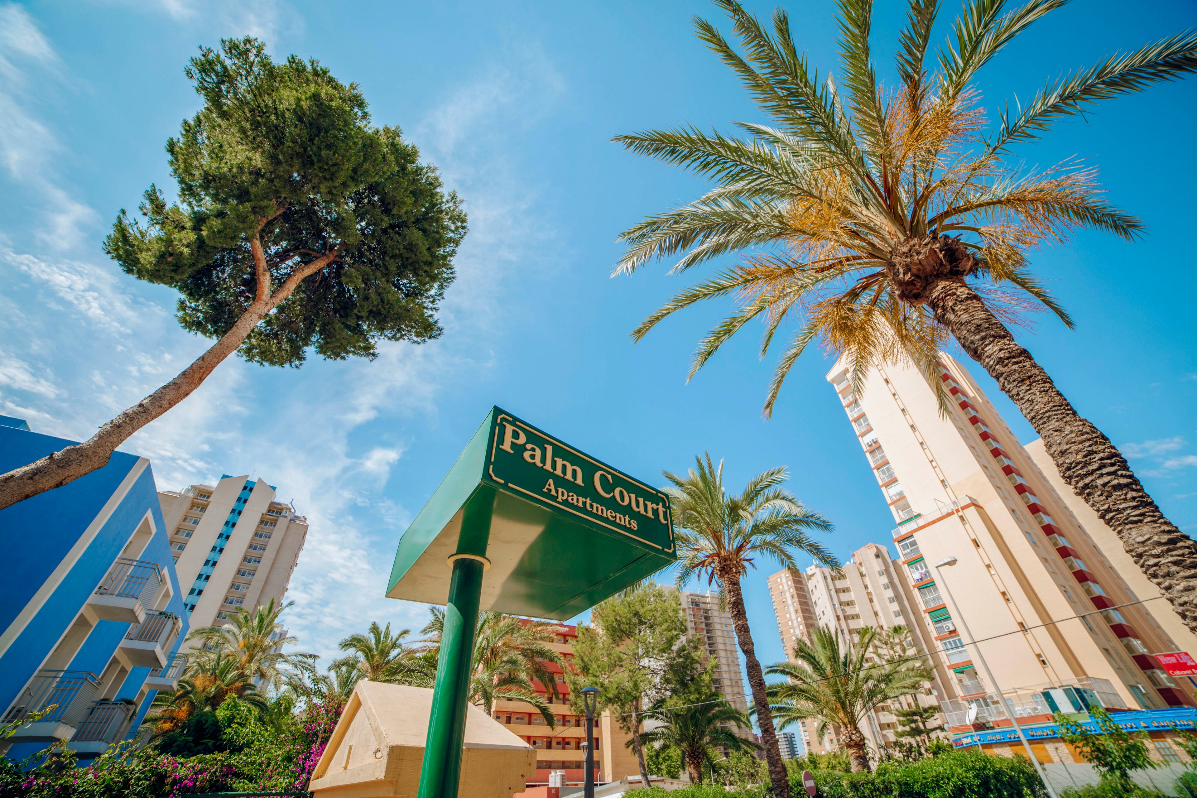 Palm Court Apartments