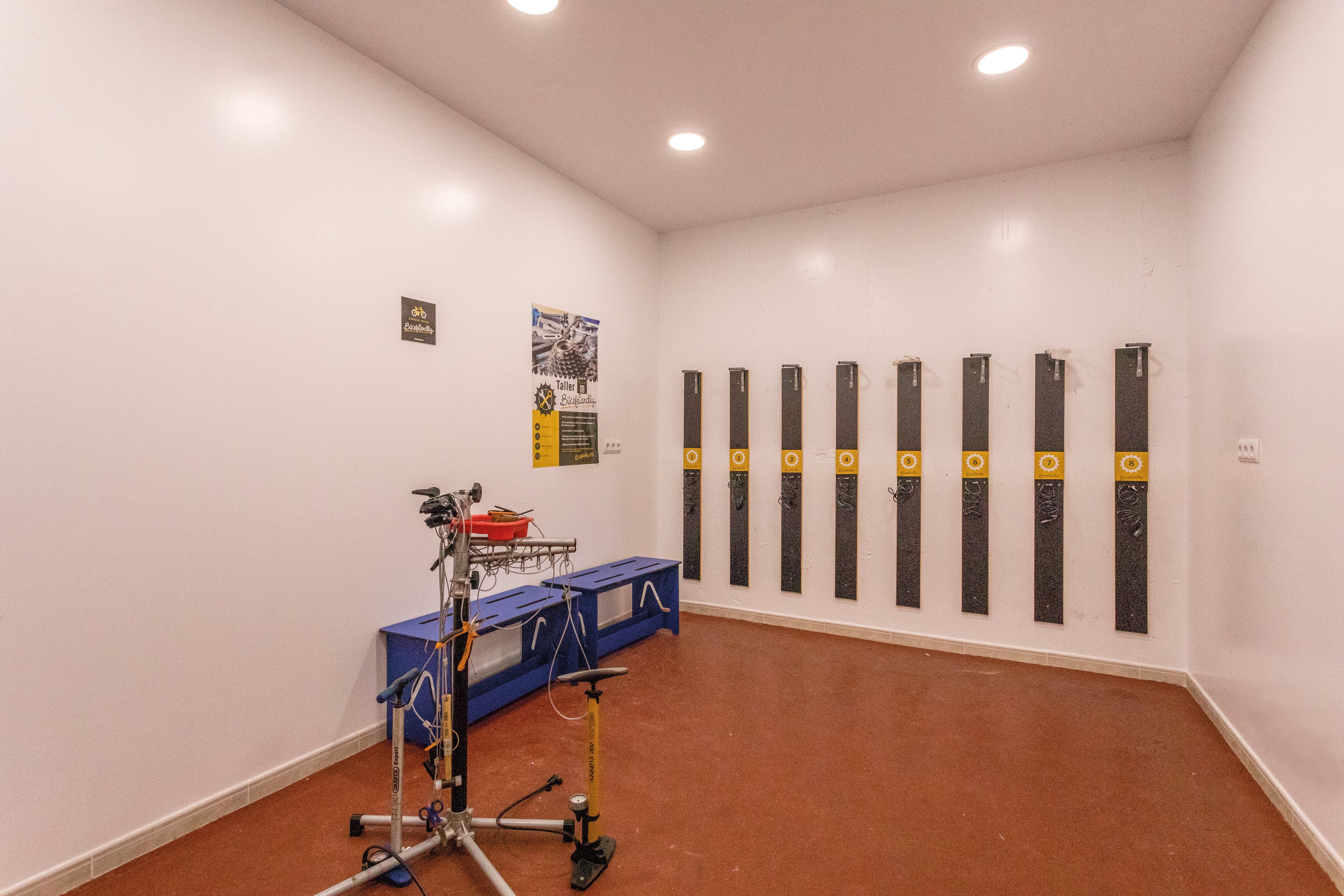 Flamingo Beach Resort