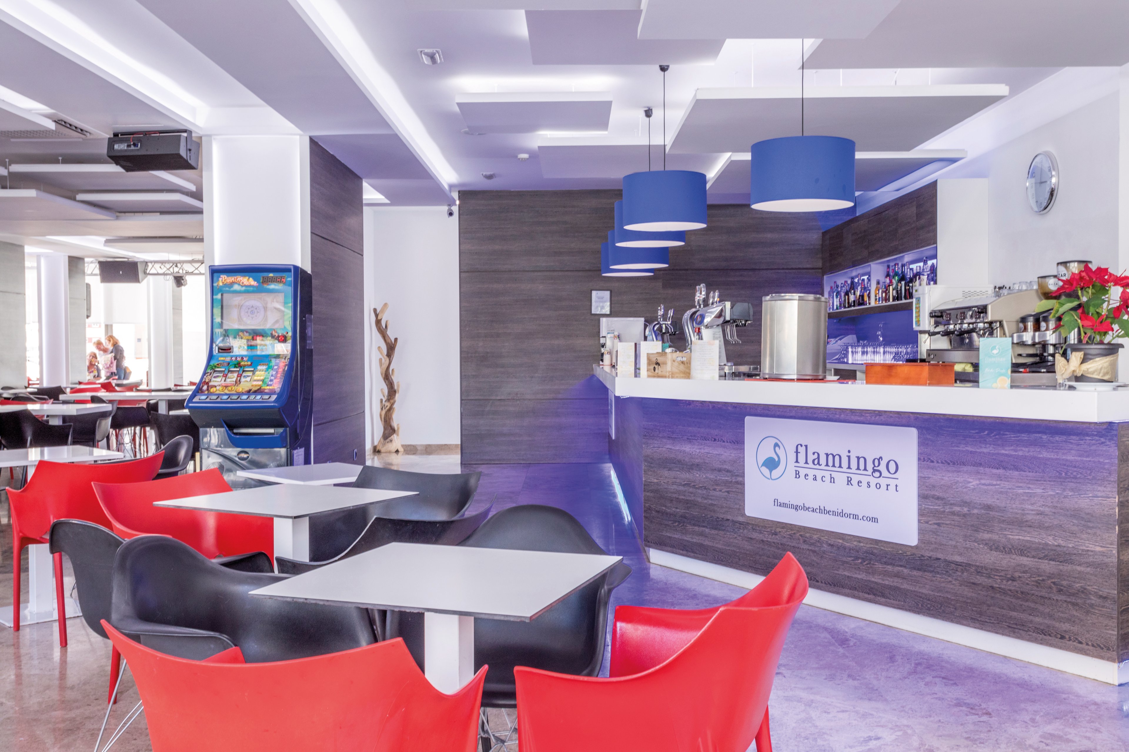 Flamingo Beach Resort