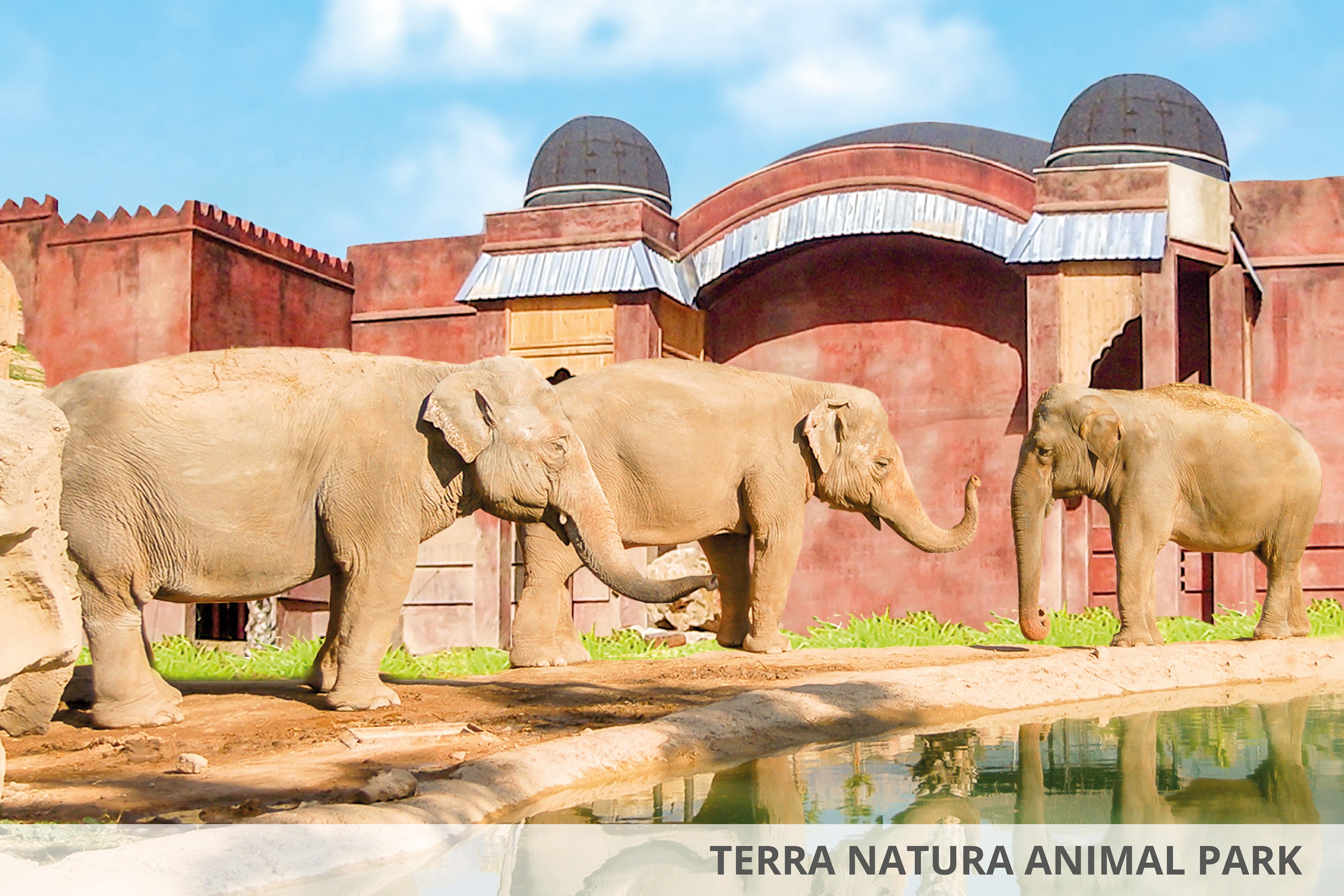Magic Natura Animal Waterpark & Polynesian Lodge Resort