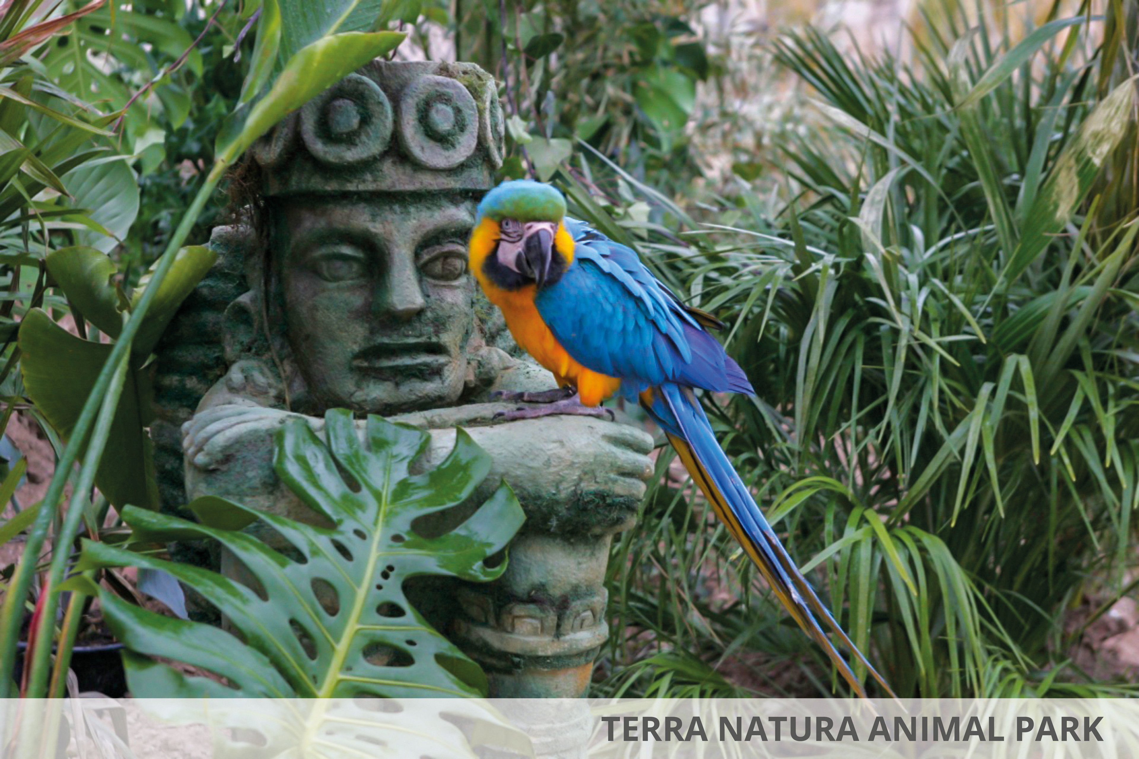Magic Natura Animal Waterpark & Polynesian Lodge Resort