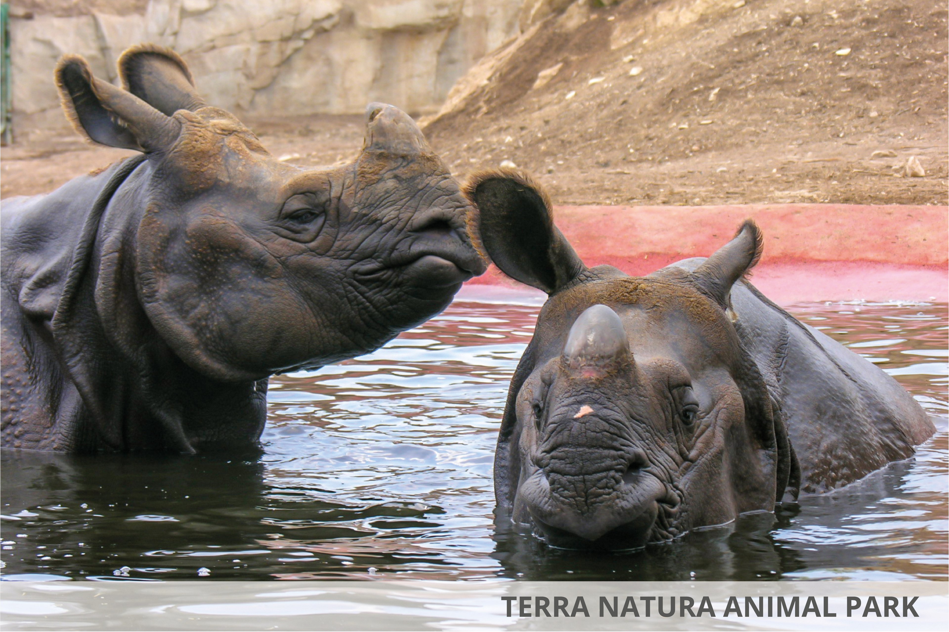 Magic Natura Animal Waterpark & Polynesian Lodge Resort