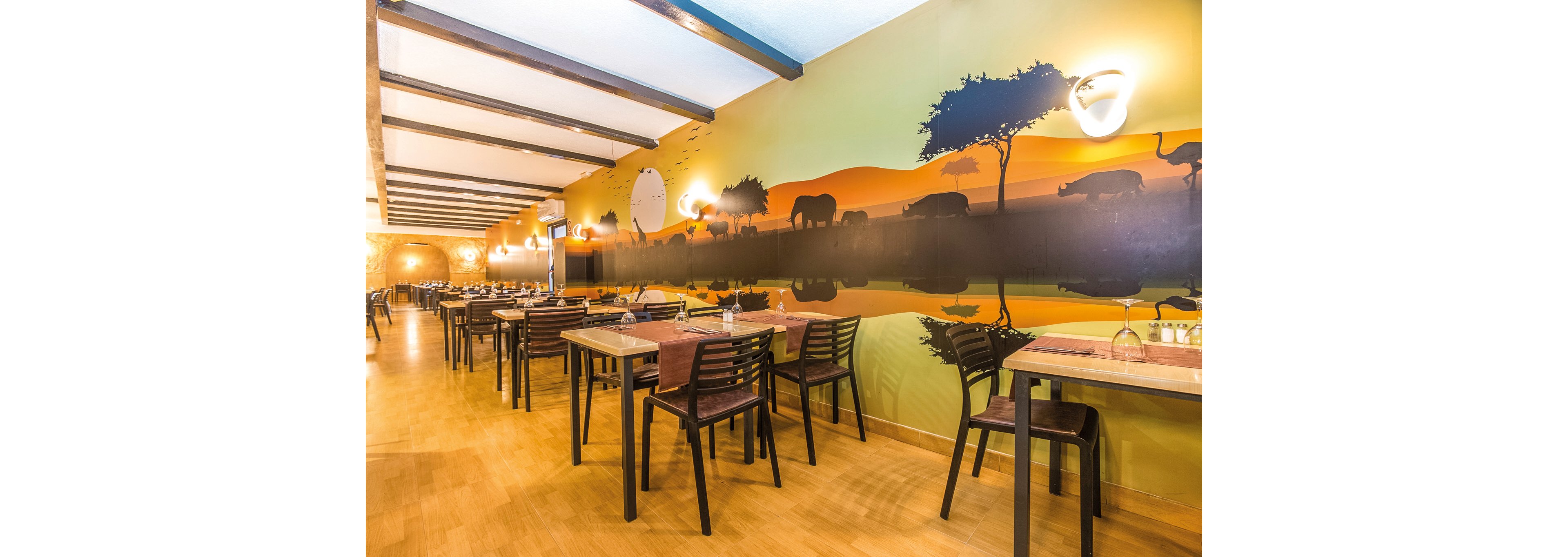 Magic Aqua Rock Gardens