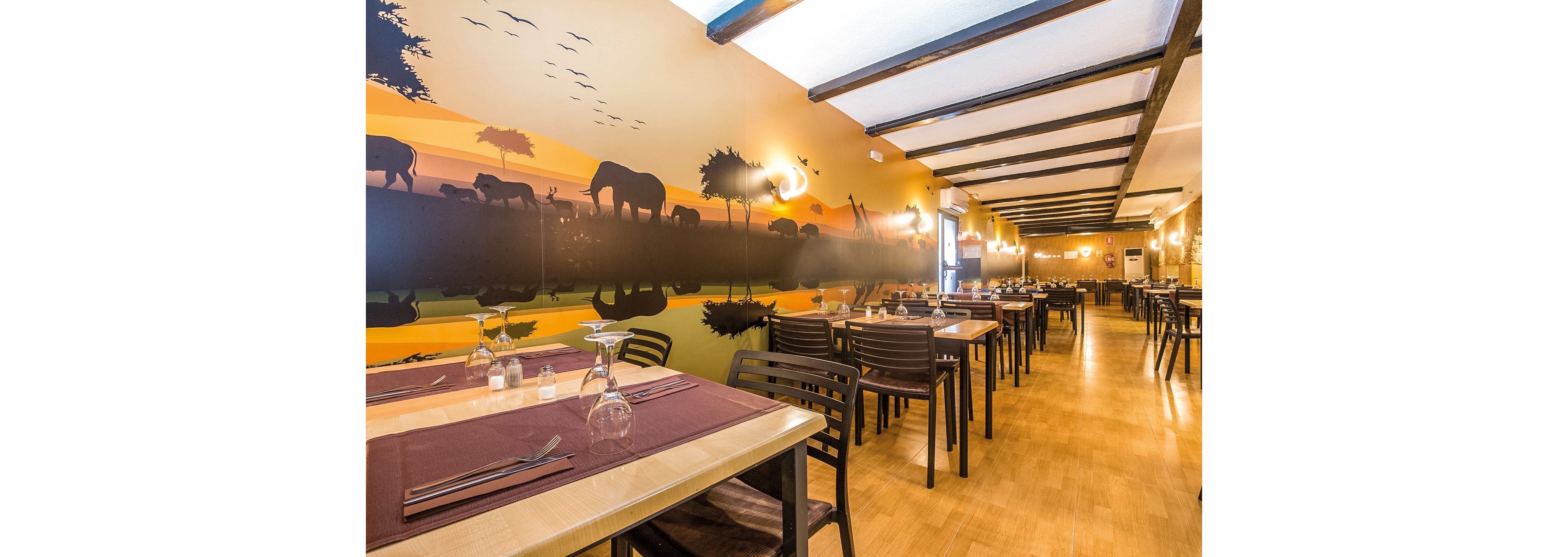 Magic Aqua Rock Gardens