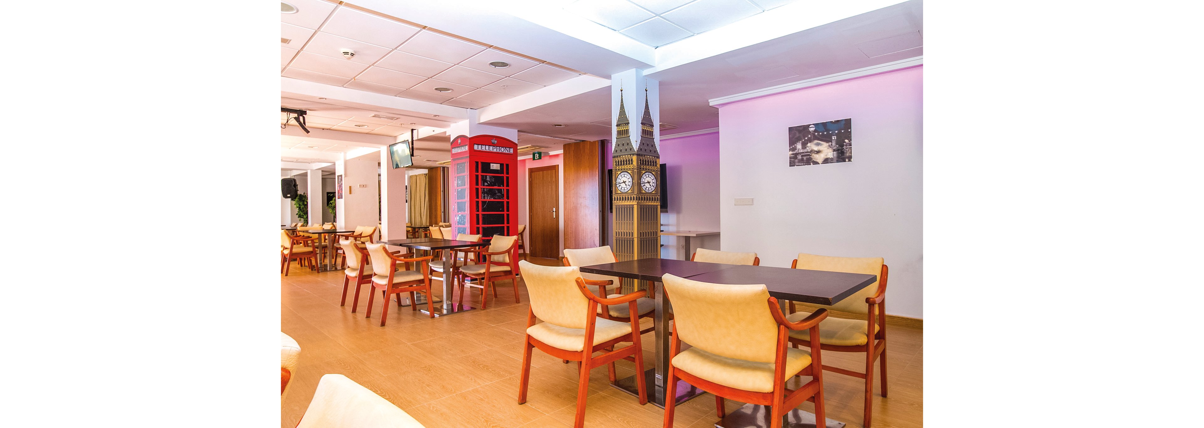 Magic Aqua Rock Gardens