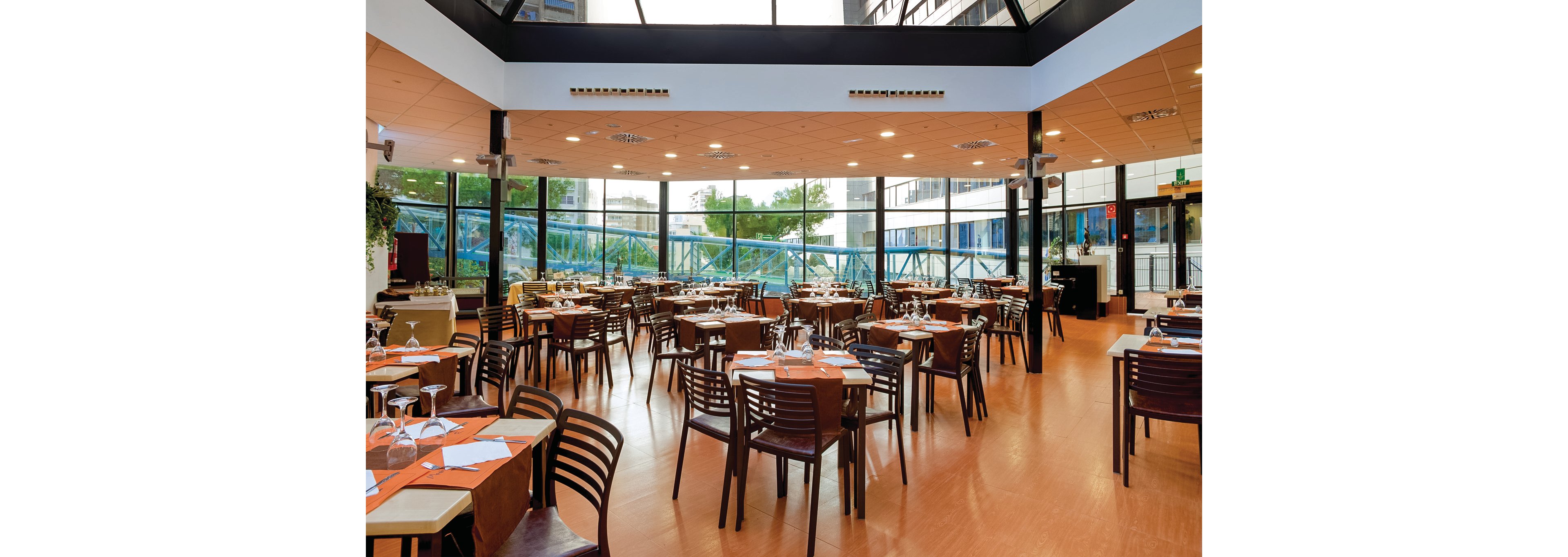 Magic Aqua Rock Gardens