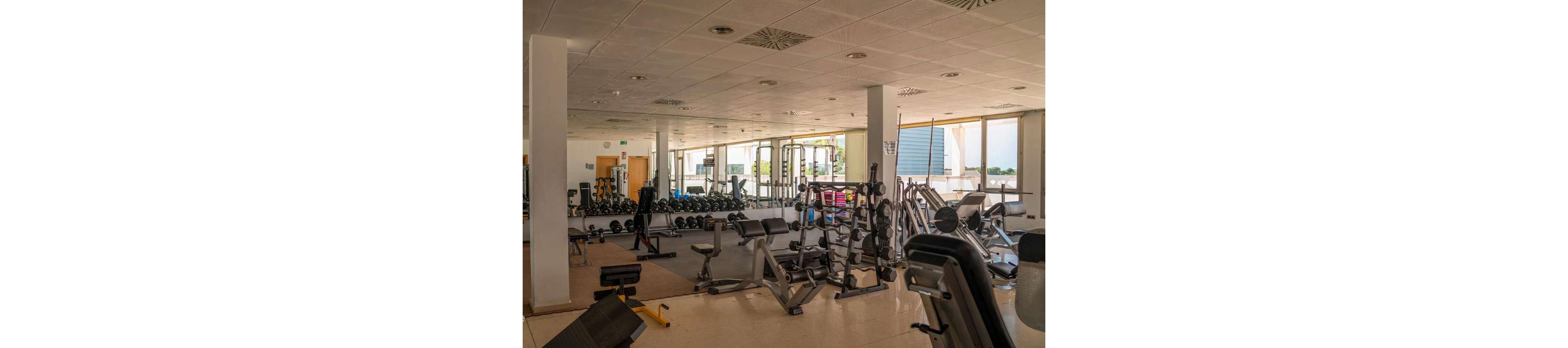 A spacious gym interior is filled with various weight training machines and free weights. Benches, squat racks, and dumbbells are neatly arranged across the room. Large mirrors line the walls, reflecting the equipment and making the space appear larger. Sunlight streams in through wide windows, creating a bright and inviting workout environment.