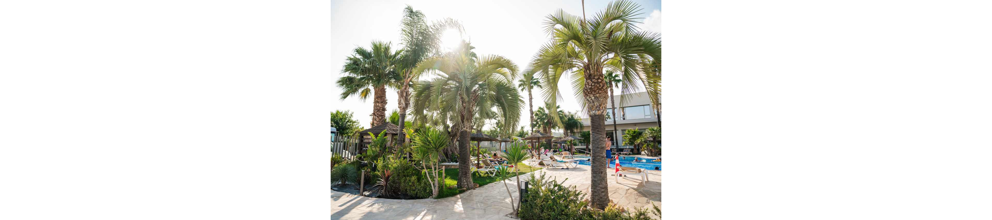A bright resort pool area is framed by tall palm trees and lush tropical plants. Sun loungers are arranged around the pool where people relax and sunbathe. The sun shines through the palm fronds, creating a warm and inviting holiday atmosphere. Buildings and cabanas in the background suggest a modern vacation hotel setting.